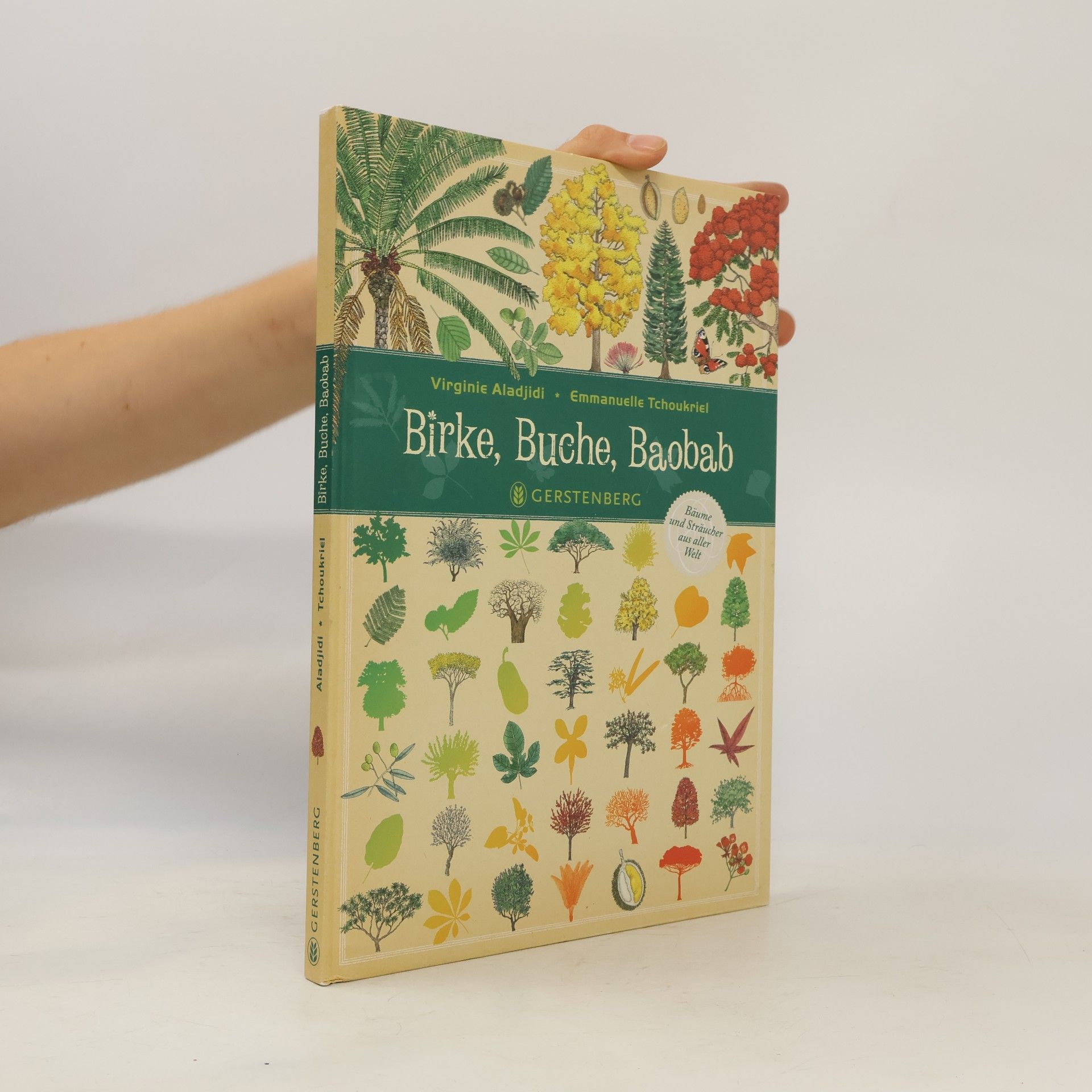 Birke, Buche, Baobab