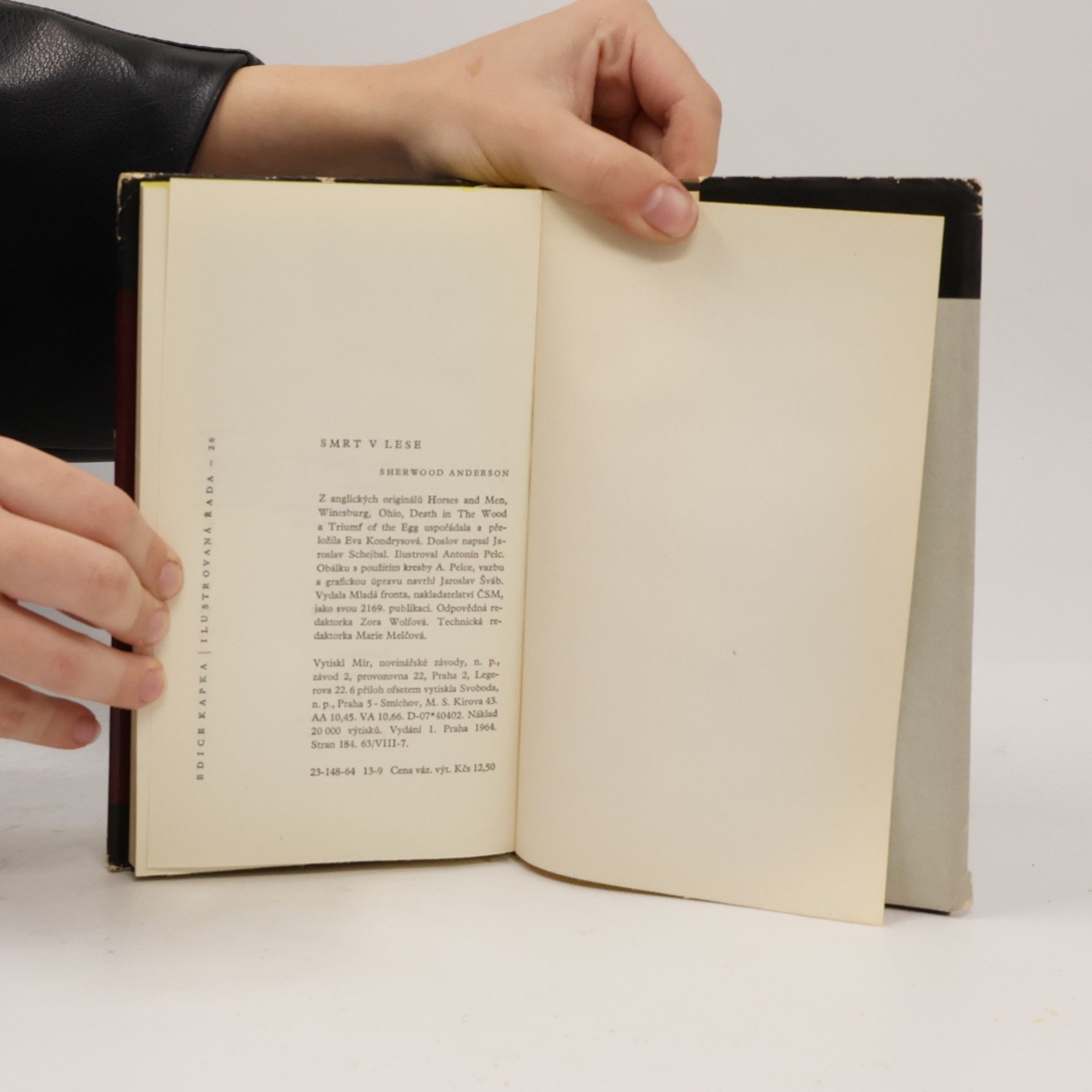 Sherwood Anderson Smrt v lese