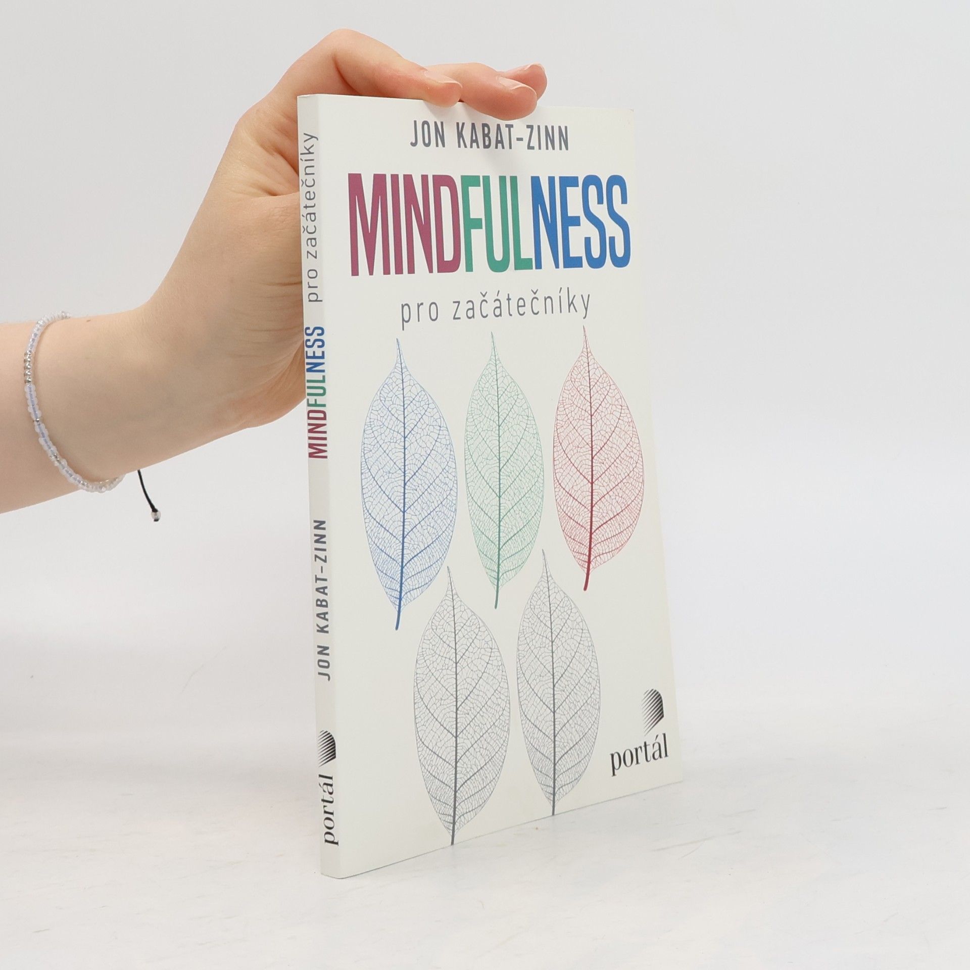 Mindfulness pro začátečníky