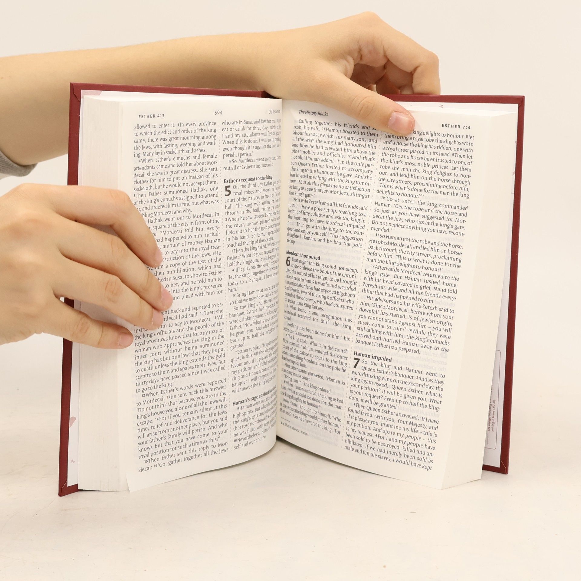 Holy Bible: New International Version