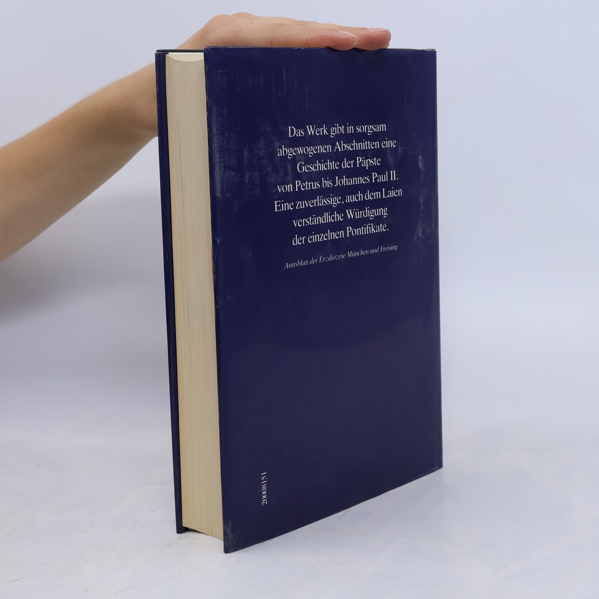Maurus Schellhorn Der heilige Petrus und seine Nachfolger