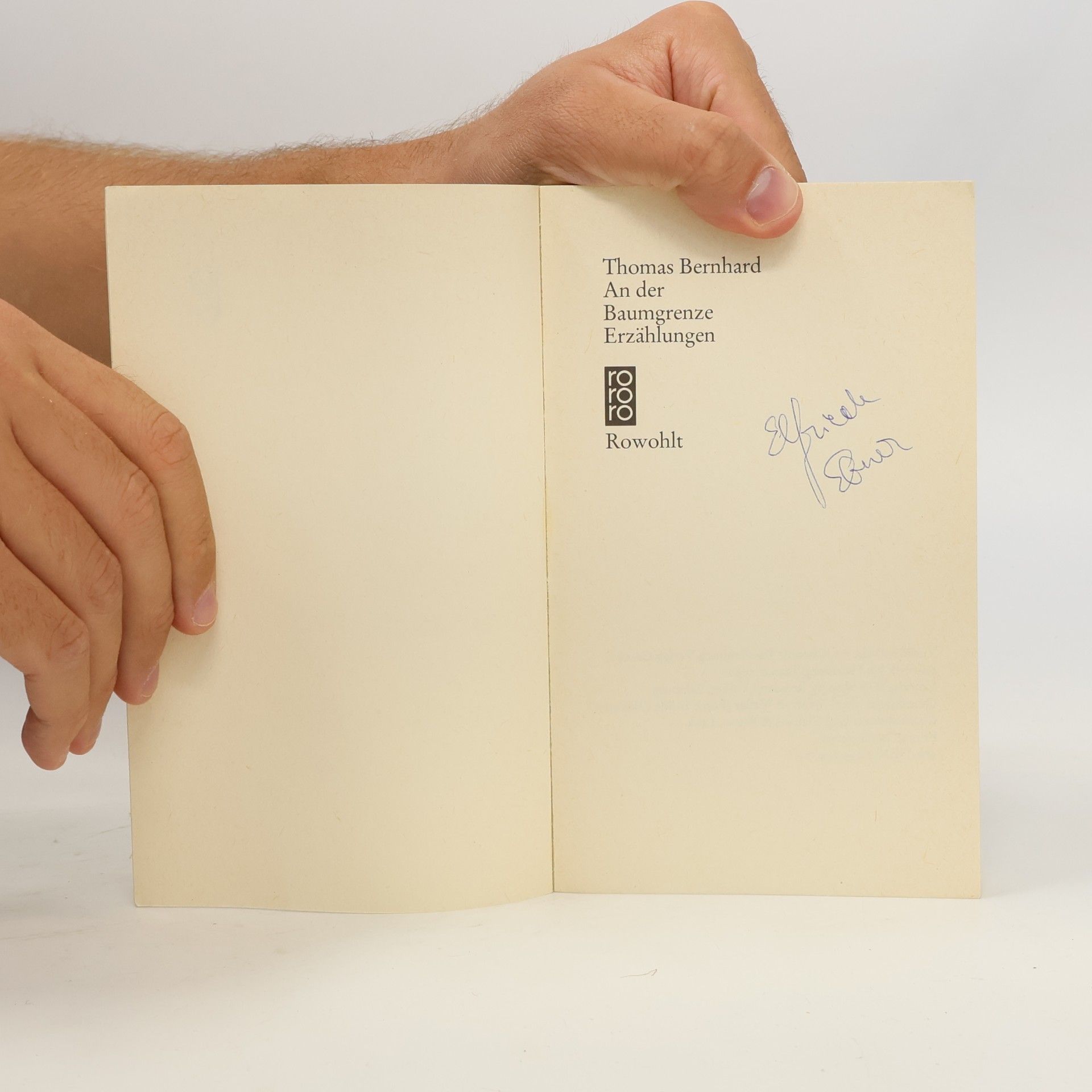 Thomas Bernhard An der Baumgrenze