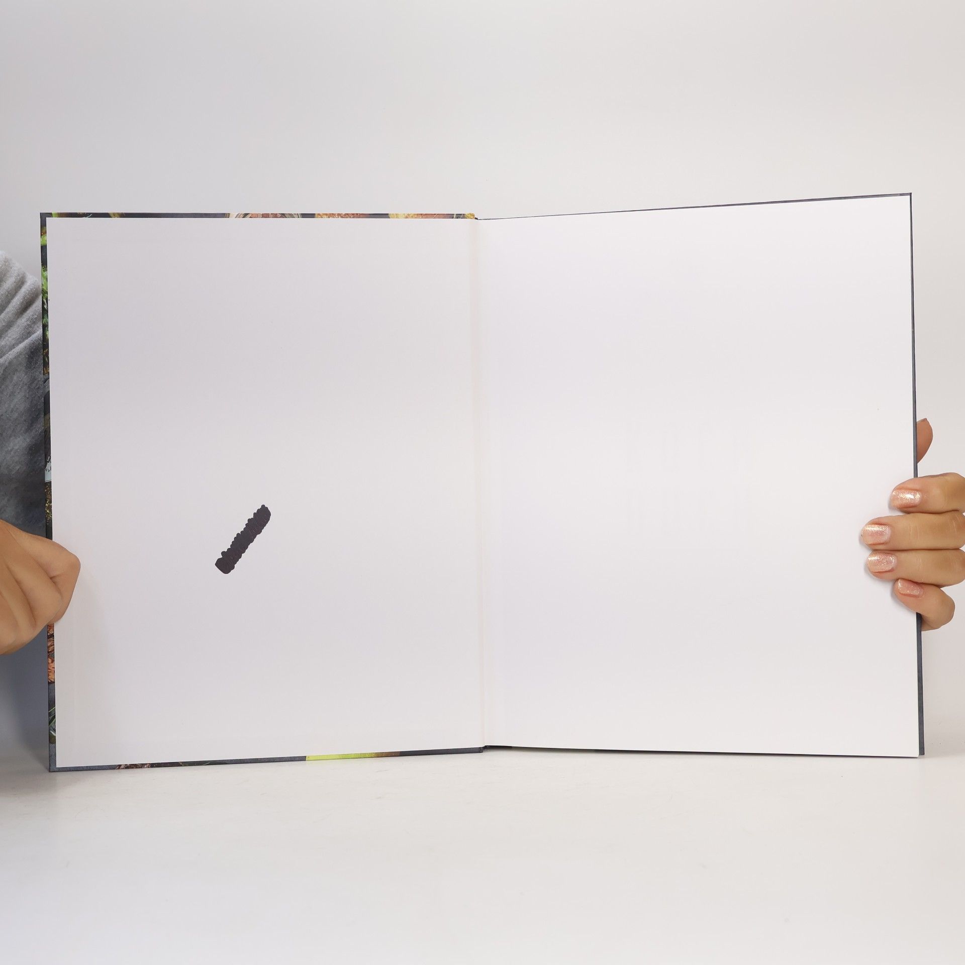 Anne Lemcke Das Ankerkraut Kochbuch