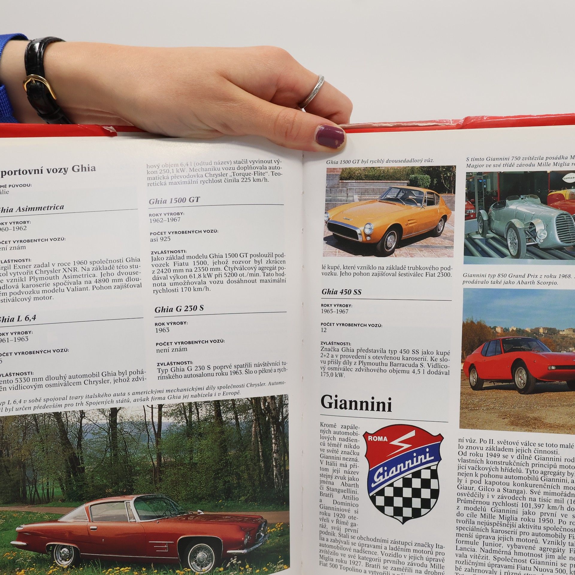 Autorenkollektiv Encyklopedie sportovních vozů