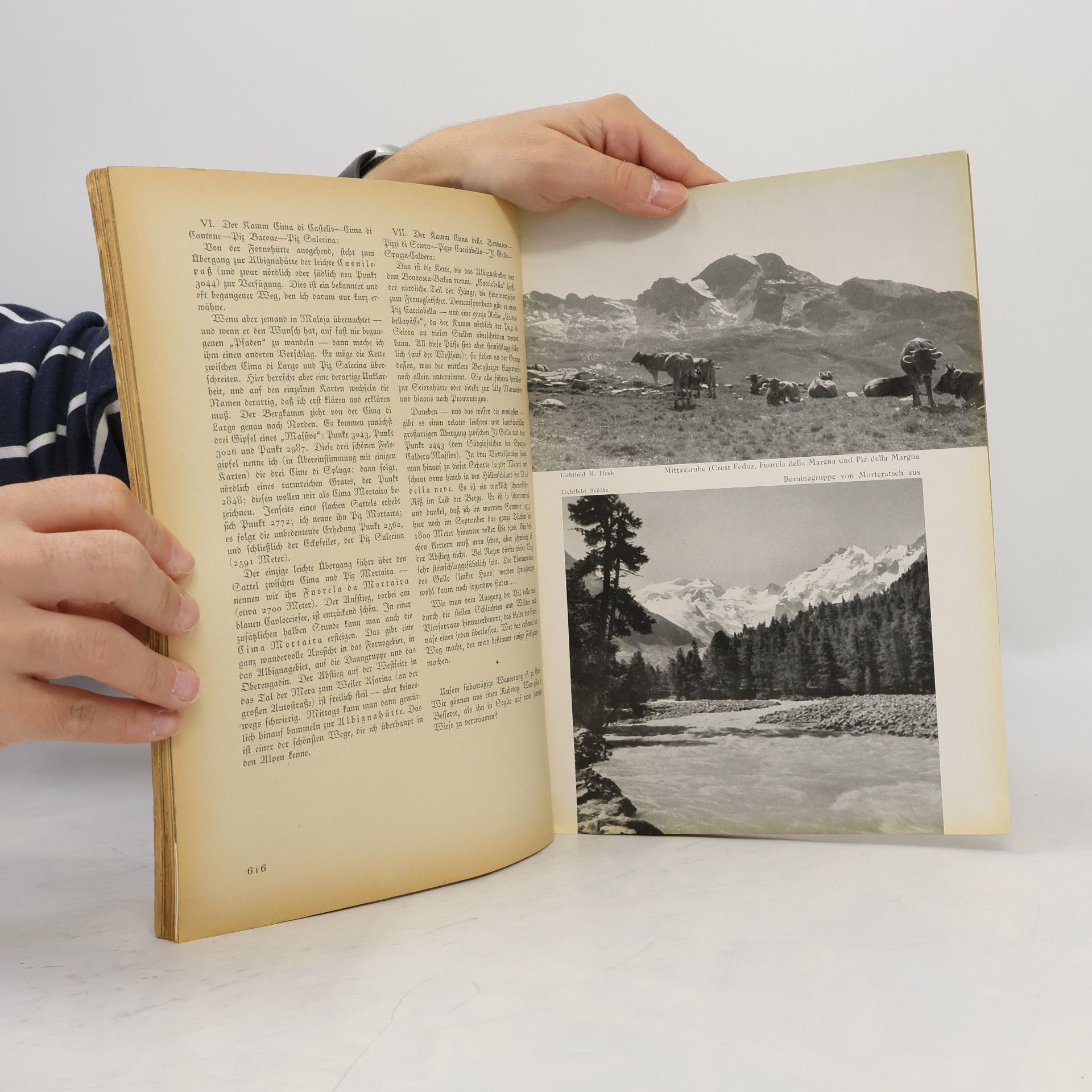 Various authors Der Bergsteiger 11