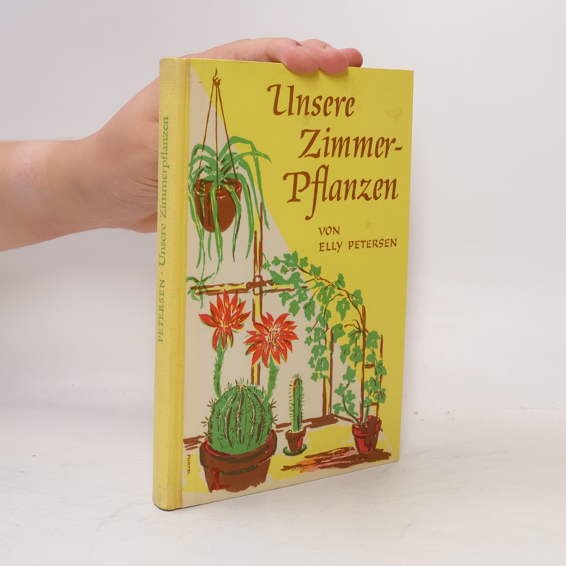 Unsere Zimmerpflanzen