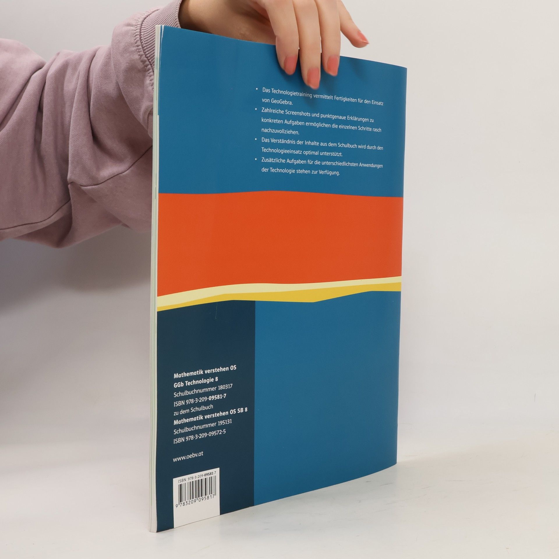 Christoph Ableitinger Mathematik verstehen