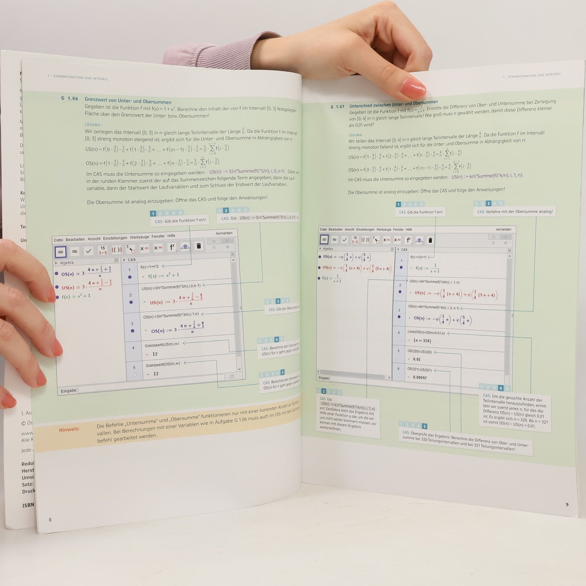 Christoph Ableitinger Mathematik verstehen