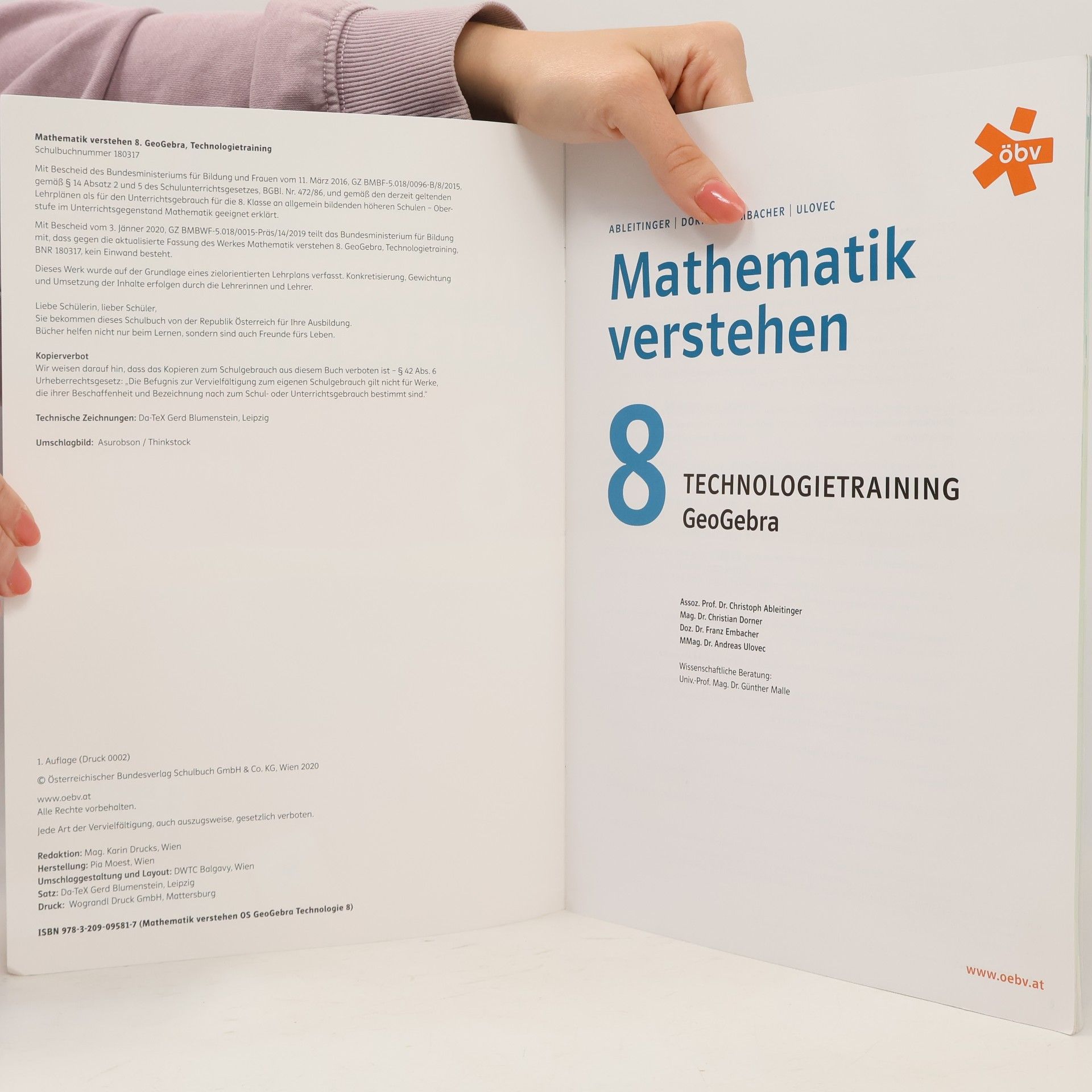 Christoph Ableitinger Mathematik verstehen