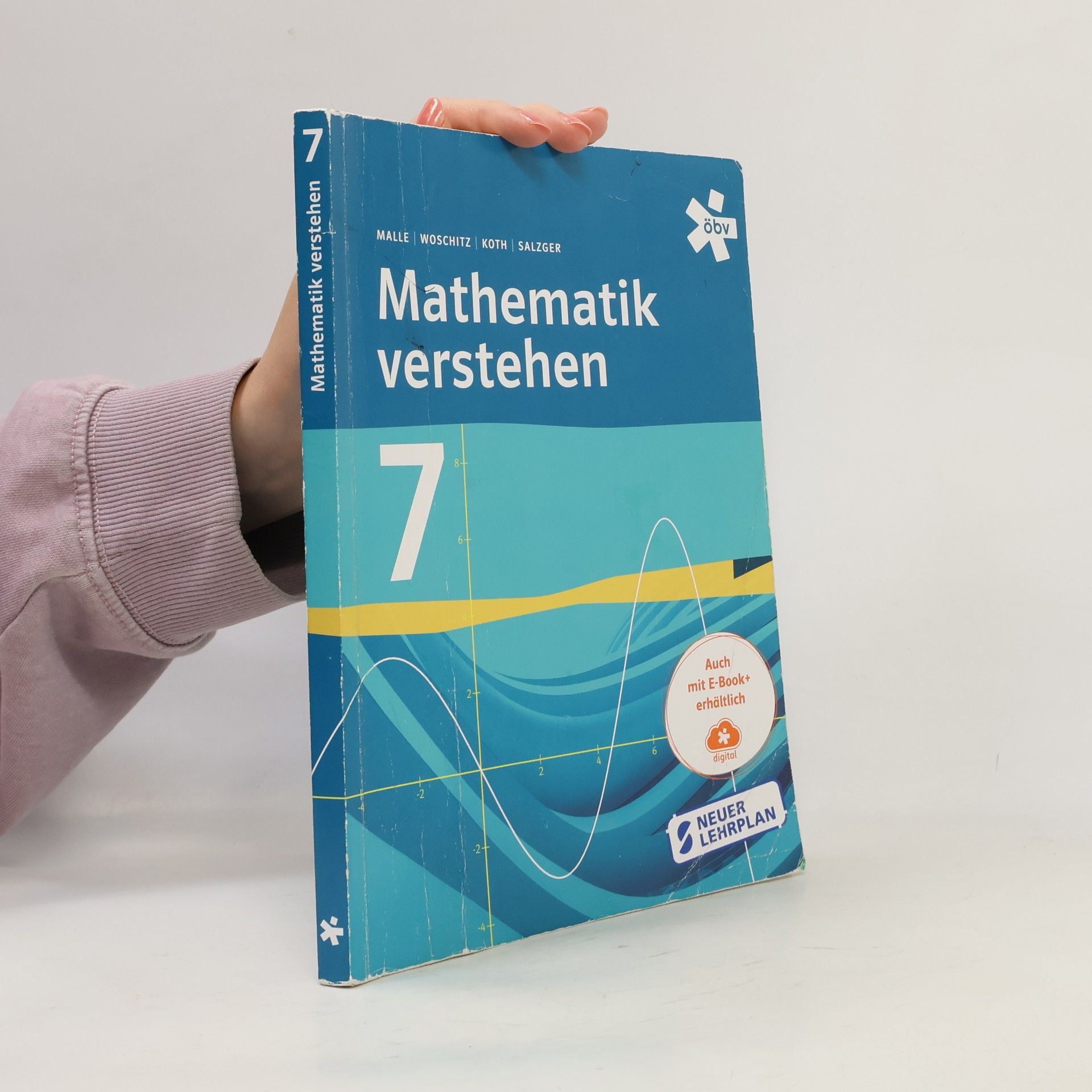 Helge Woschitz Mathematik verstehen 7