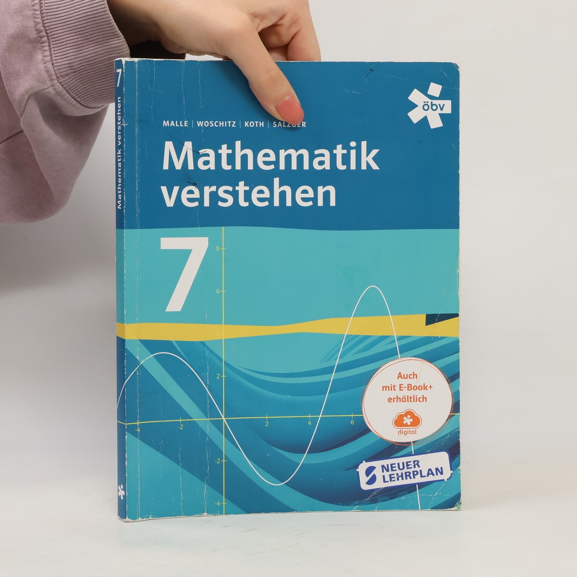Günther Malle Mathematik verstehen 7