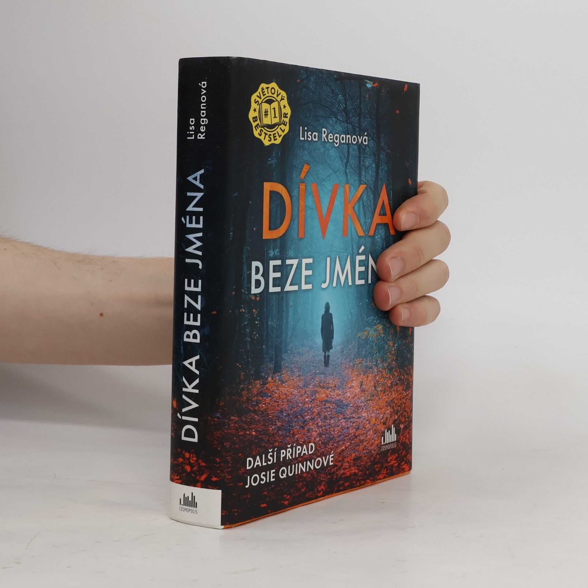 Lisa Regan Dívka beze jména: Další případ Josie Quinnové