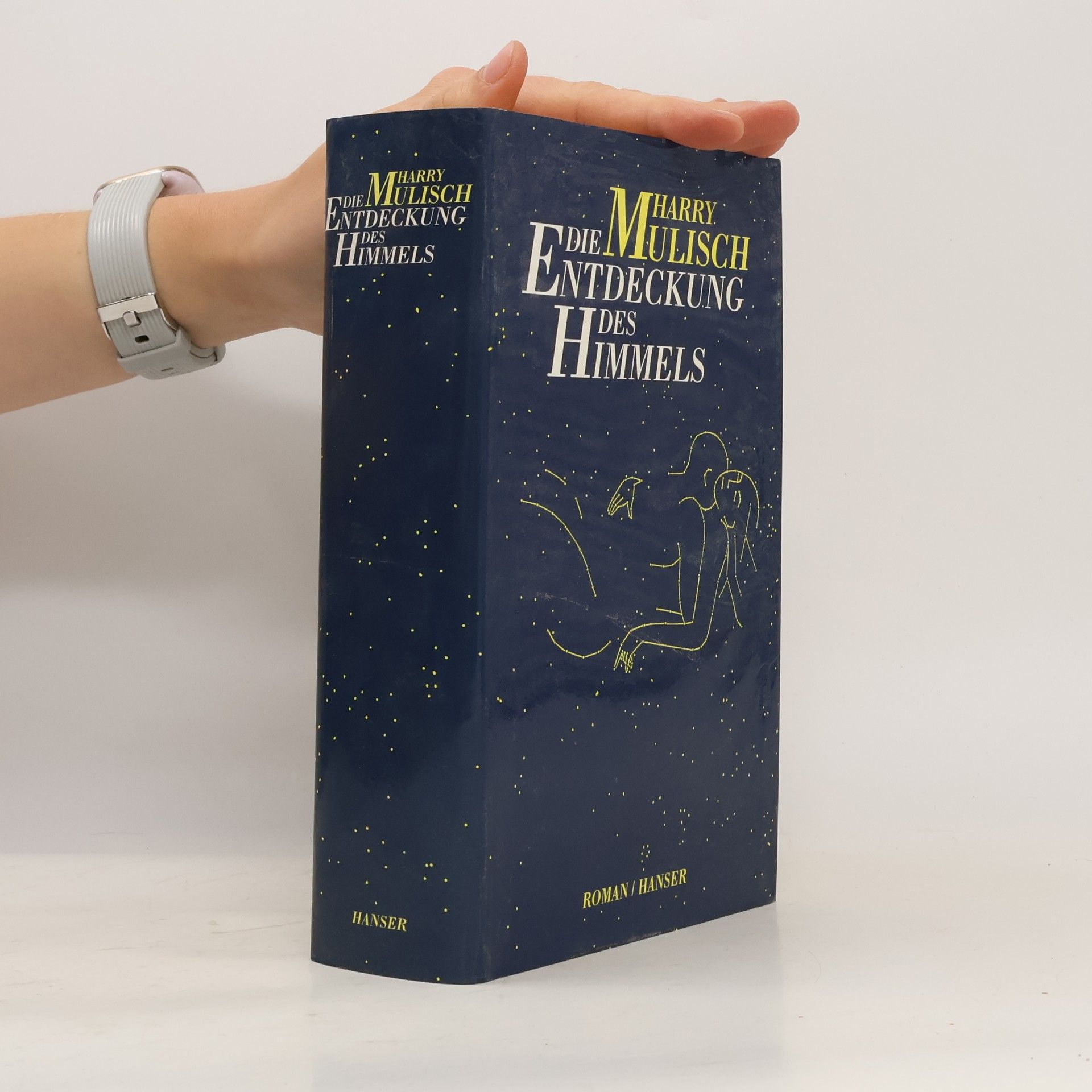 Harry Mulisch Die Entdeckung des Himmels