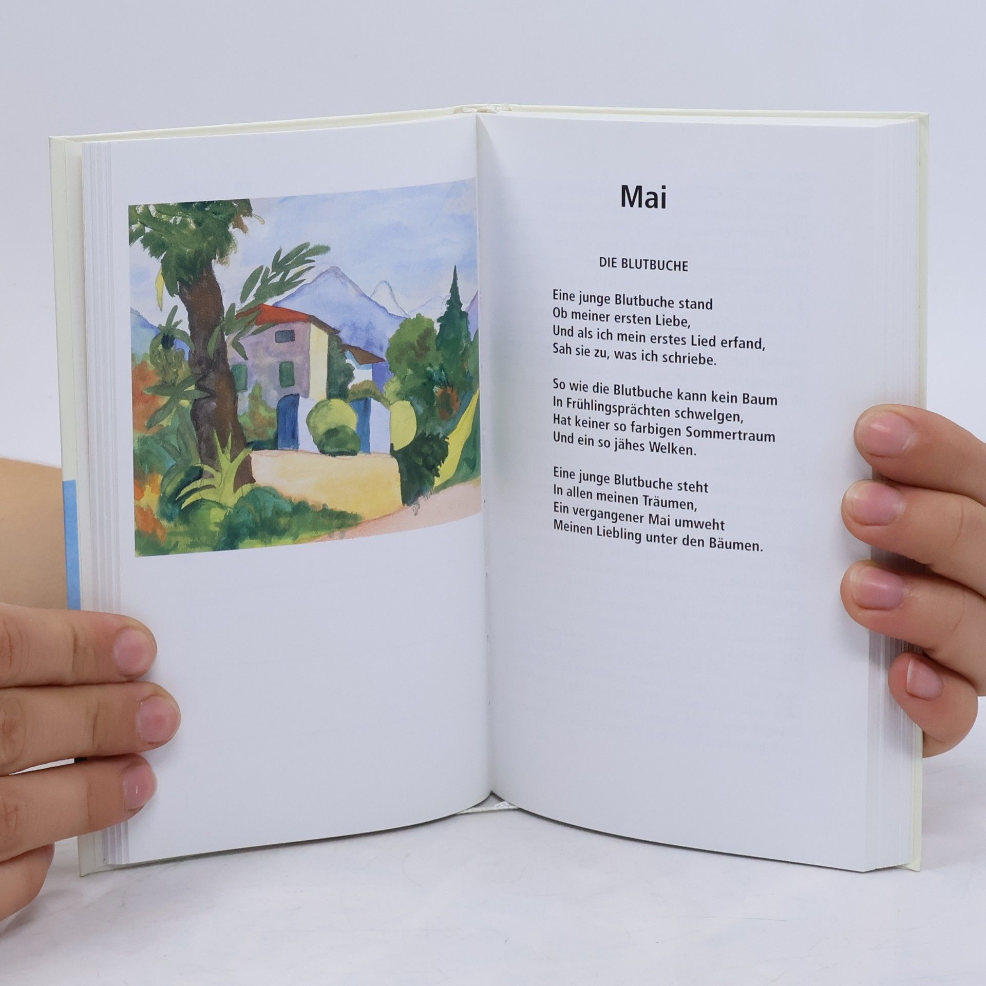 Hermann Hesse Insel-Kalender für das Jahr 2007