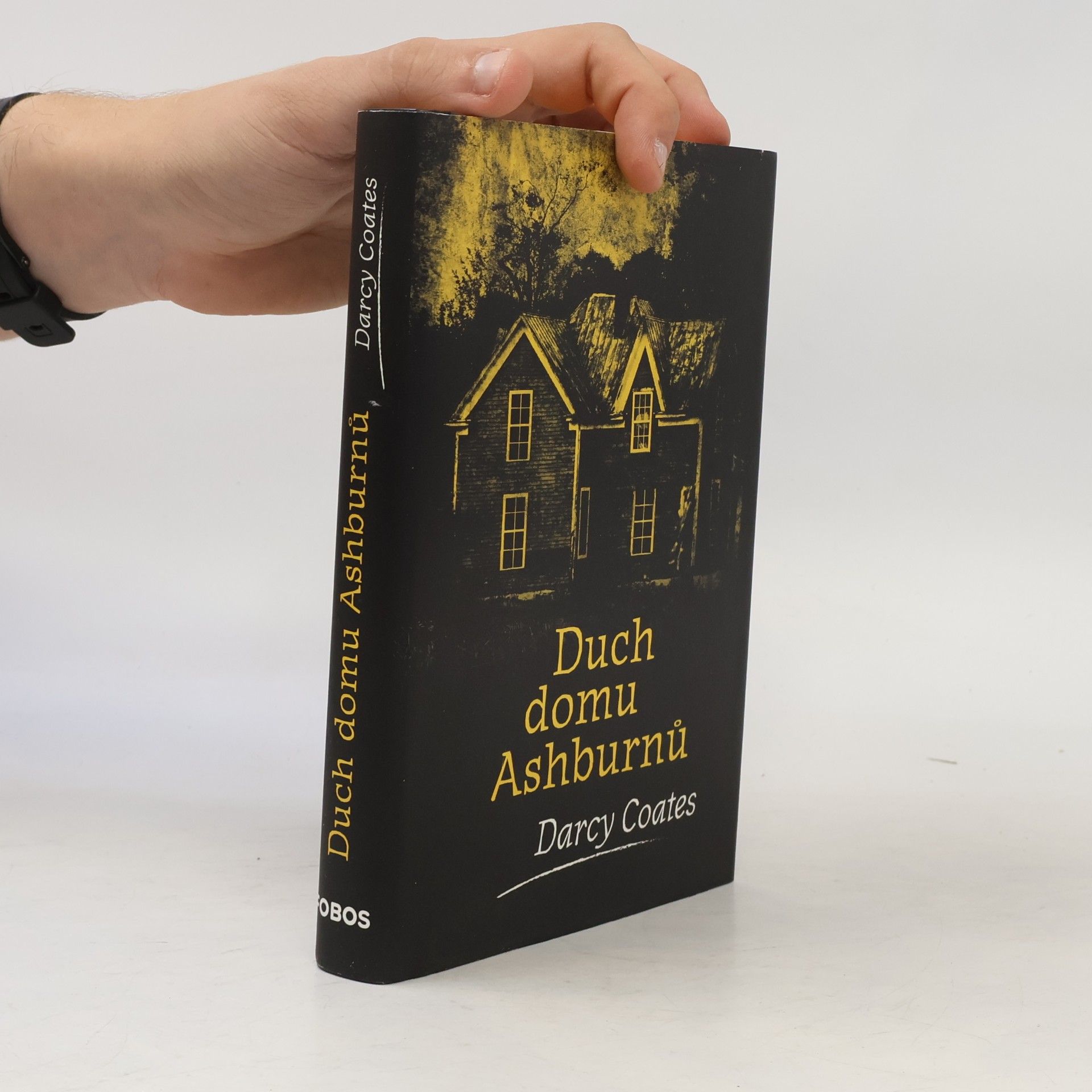 Darcy Coates Duch domu Ashburnů