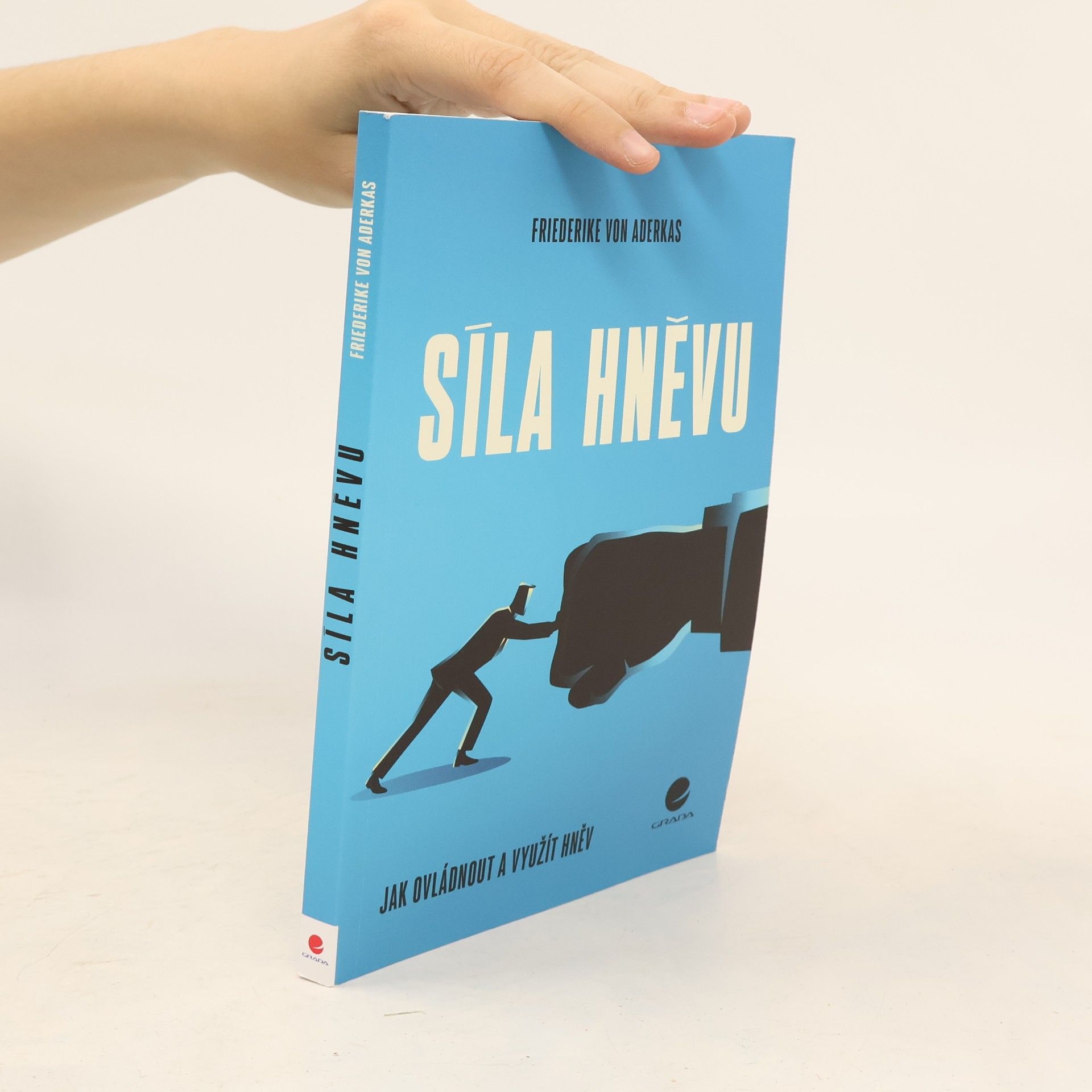 Sylvia Gredig Síla hněvu : jak ovládnout a využít hněv