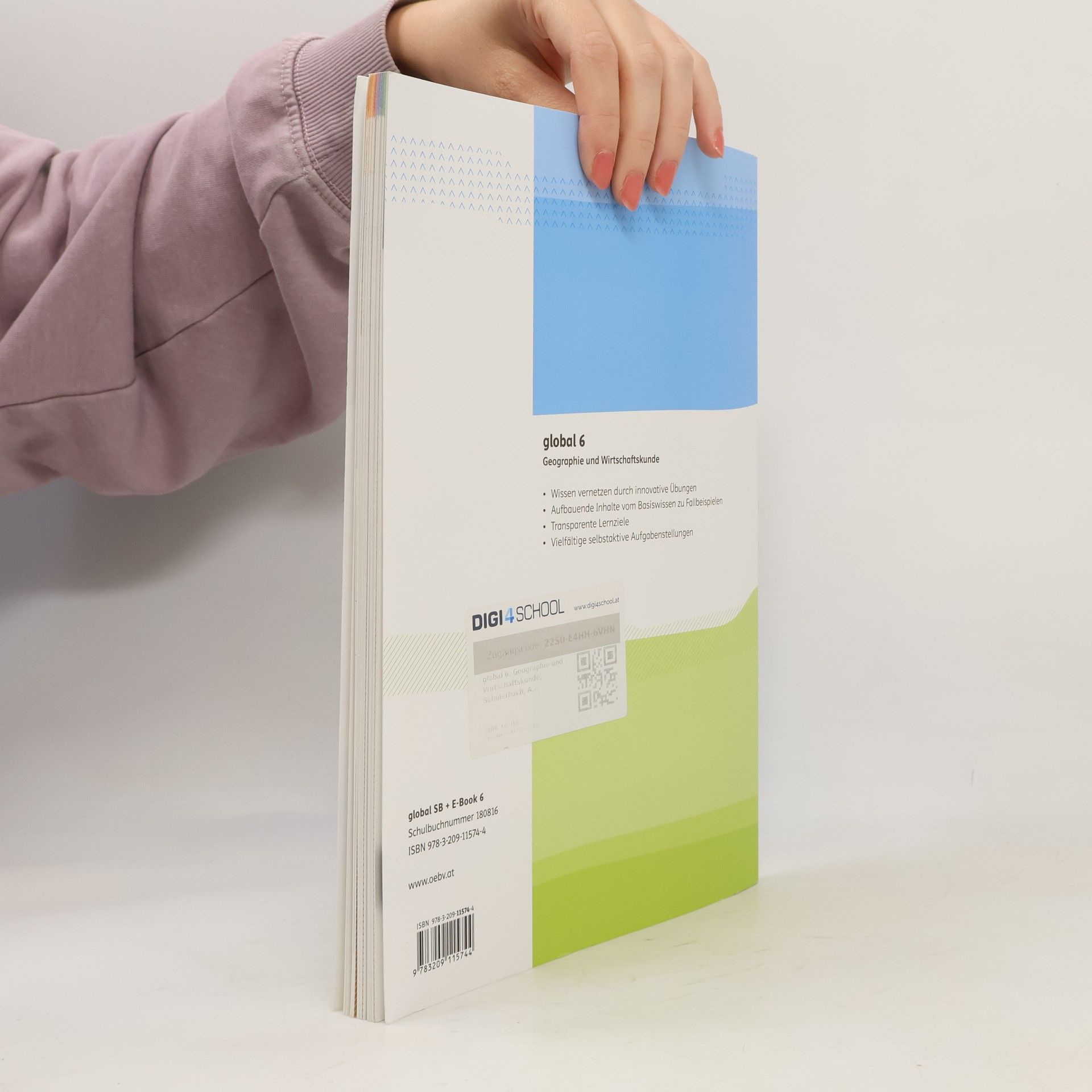 Collectif d'auteurs Global 6. Geographie und Wirtschaftskunde
