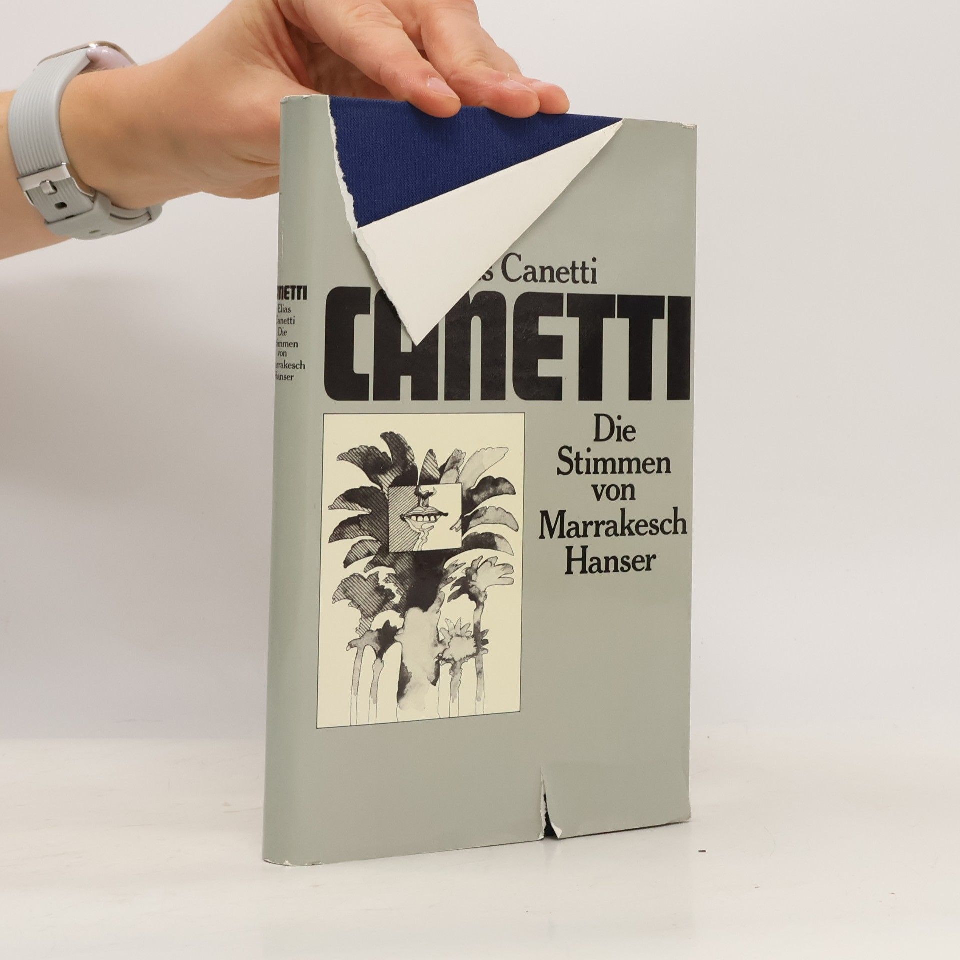 Elias Canetti Die Stimmen von Marrakesch