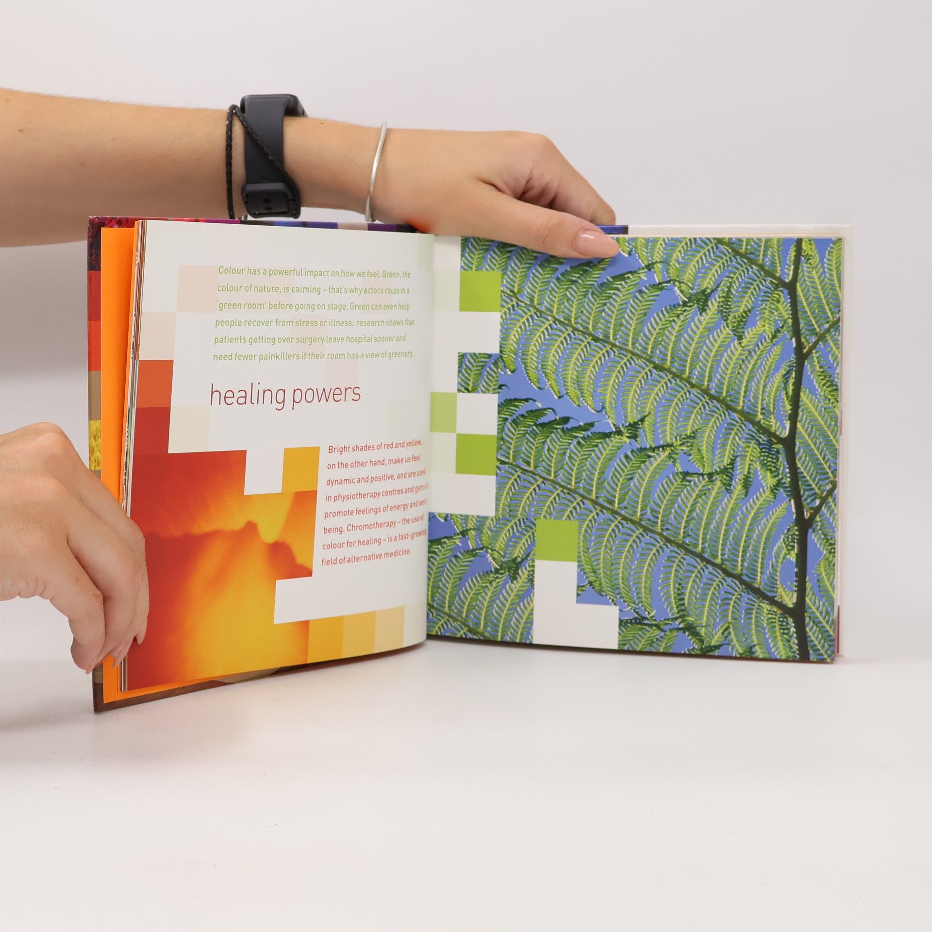 Maria Constantino Understanding Colour at Home