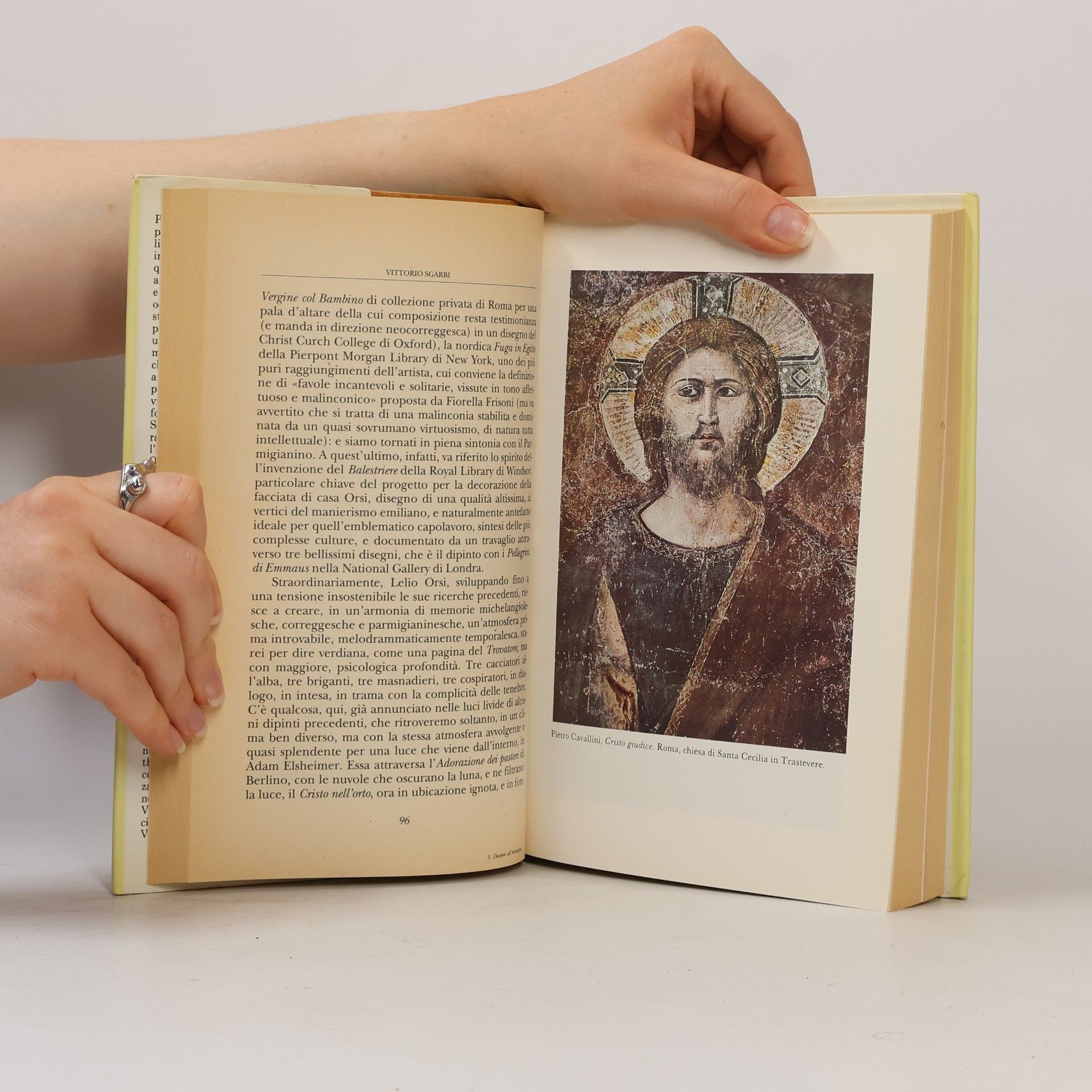 Vittorio Sgarbi Davanti all'immagine