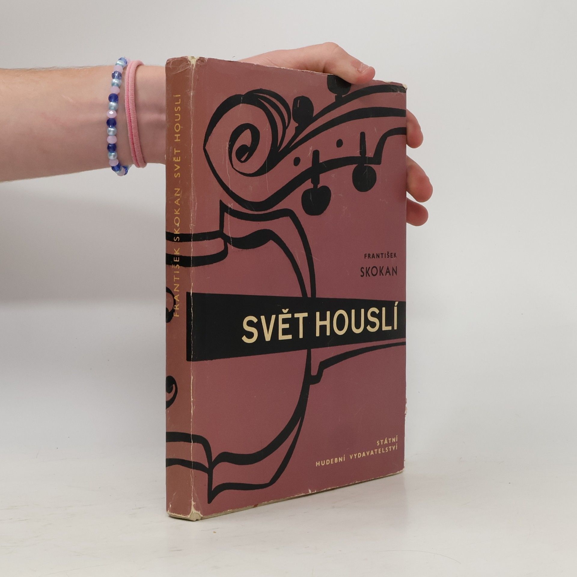 František Skokan Svět houslí