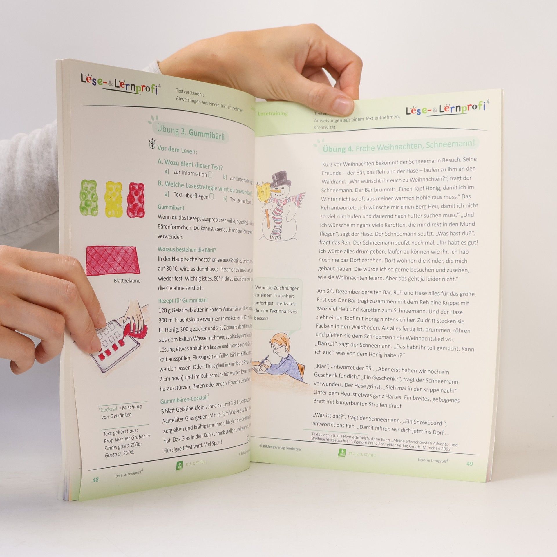 Christa Koppensteiner Lese- und Lernprofi 4: SchülerInnenbuch, 4. Klasse