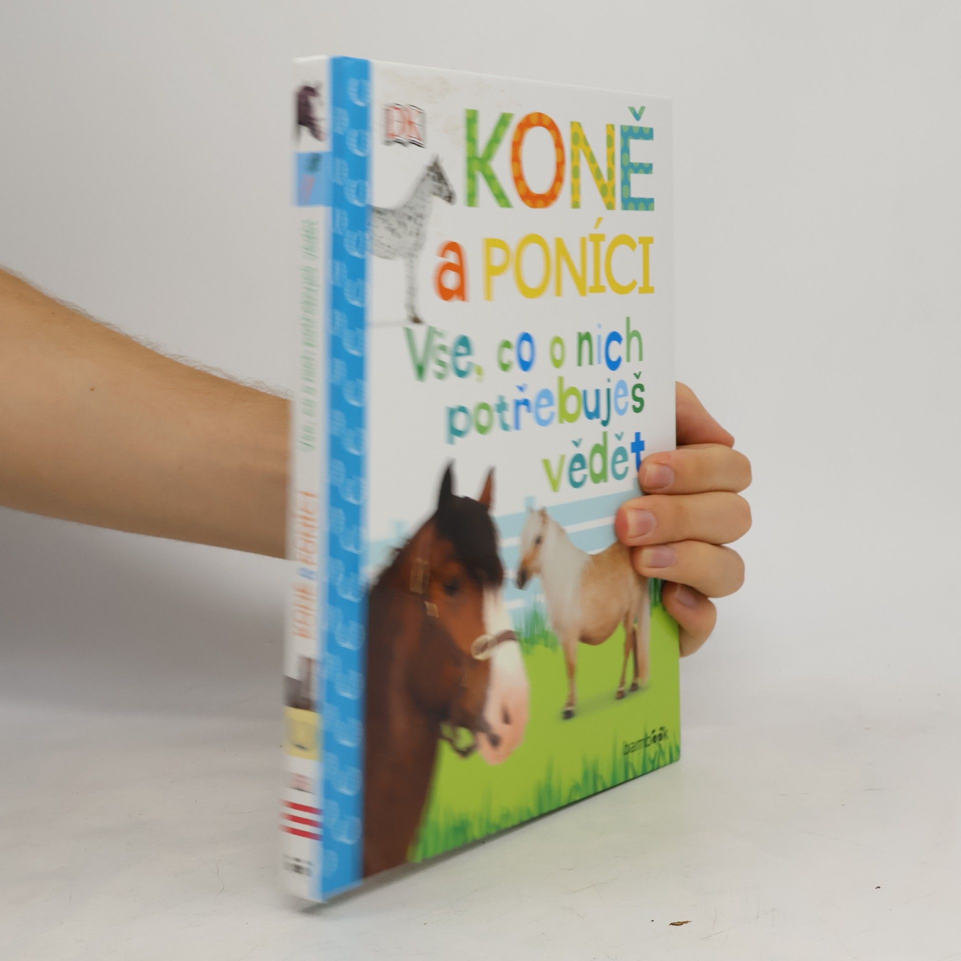 Koně a poníci – Vše, co o nich potřebuješ vědět