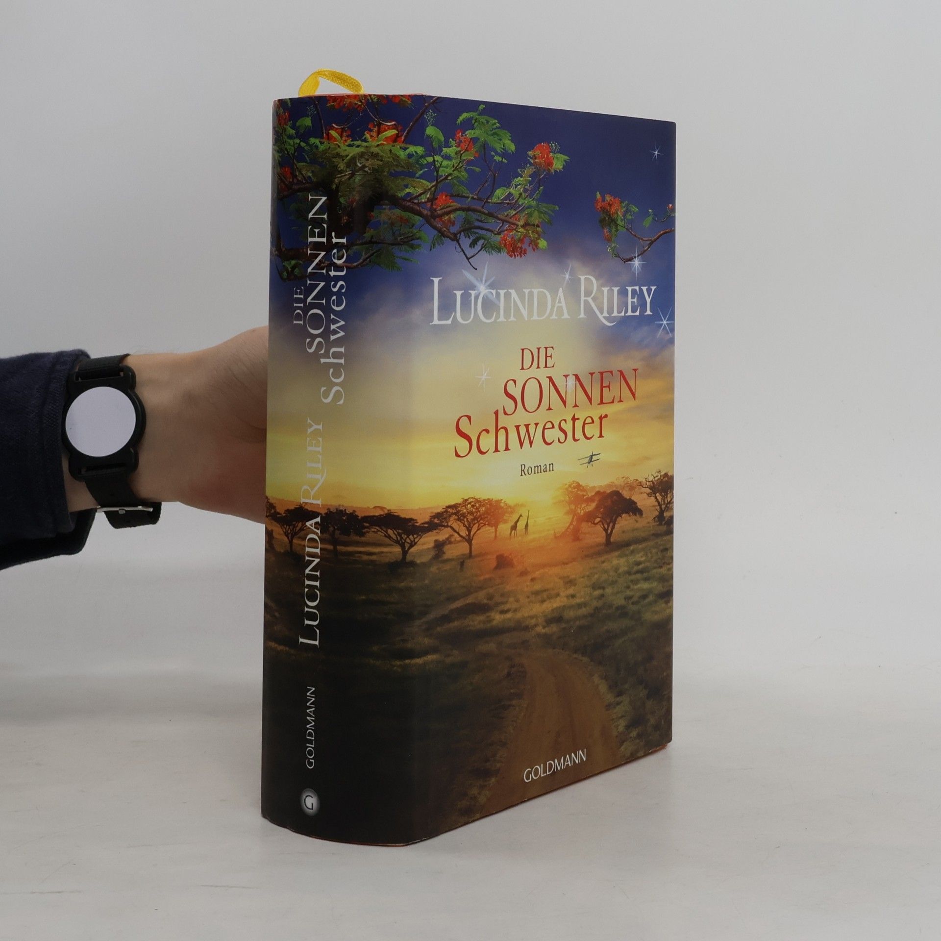 Die Sonnenschwester