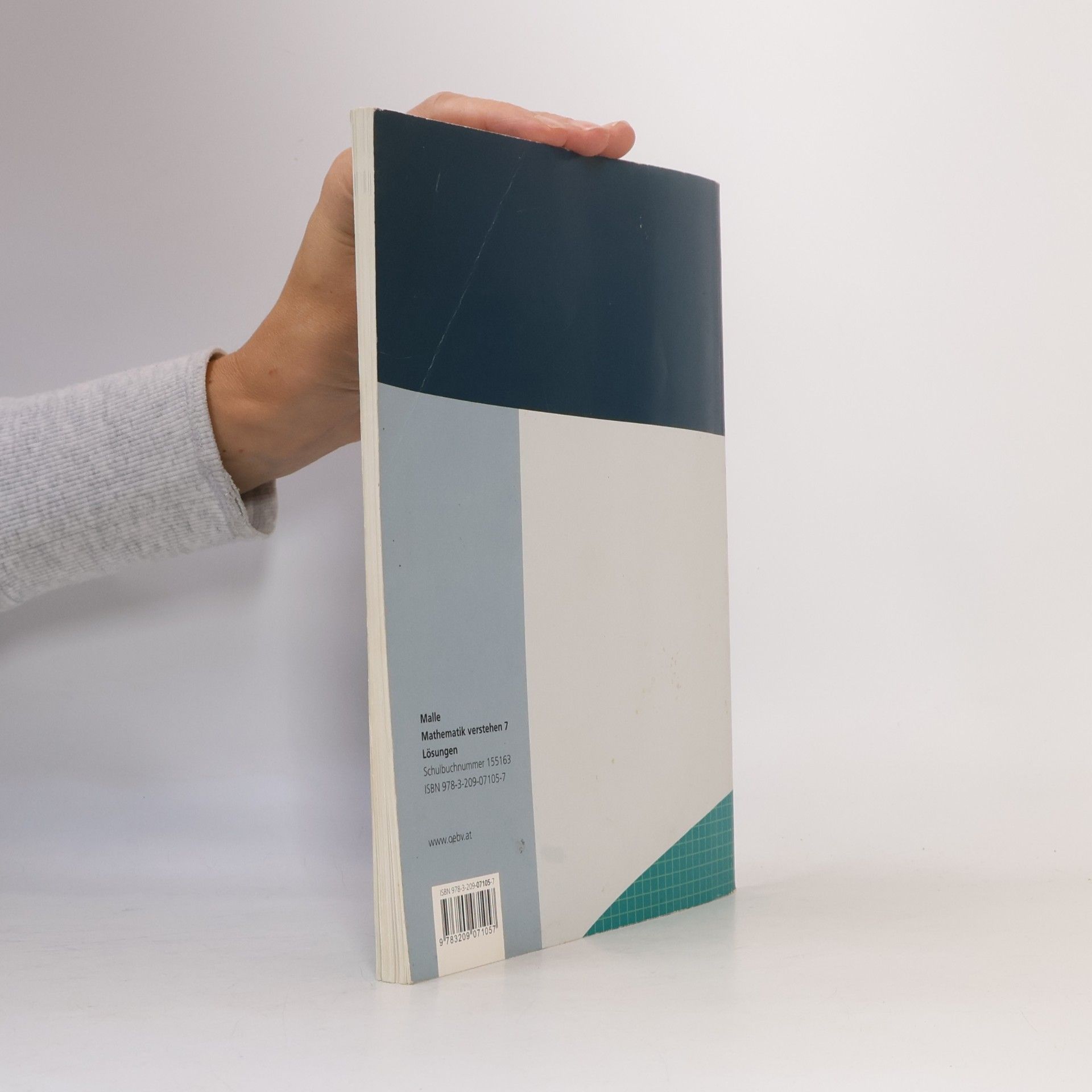 Günther Malle Mathematik verstehen. 7 Lösungen