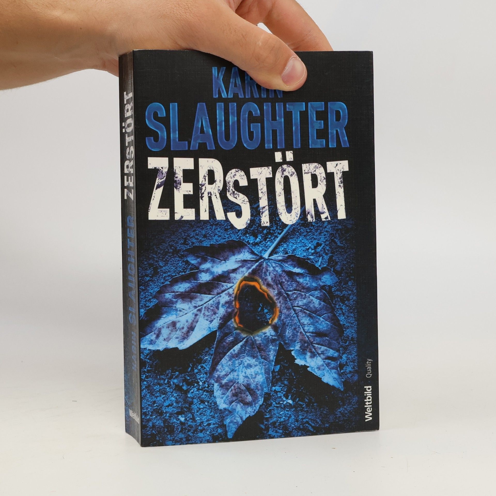 Karin Slaughter Zerstört