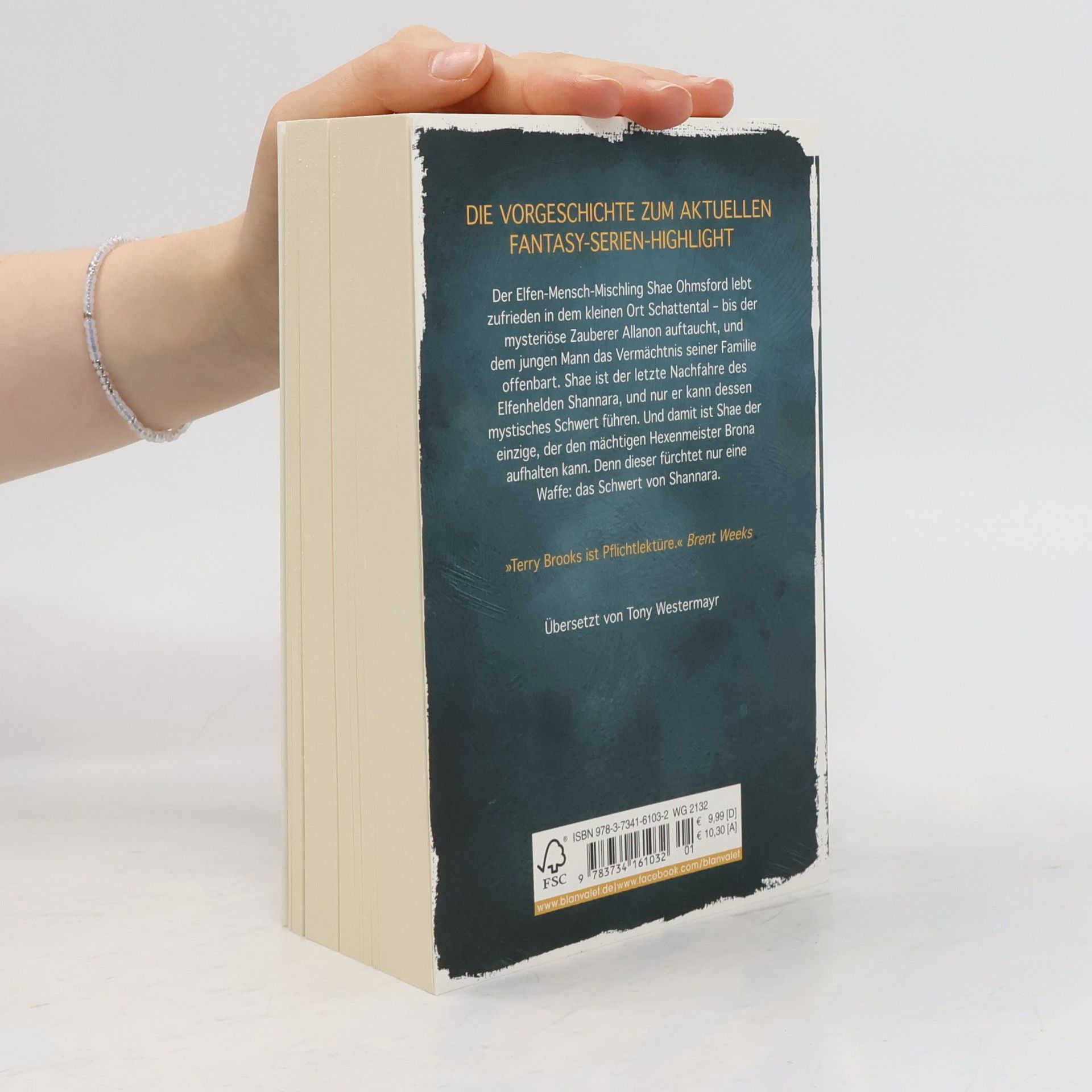 Terry Brooks Die Shannara-Chroniken - das Schwert der Elfen