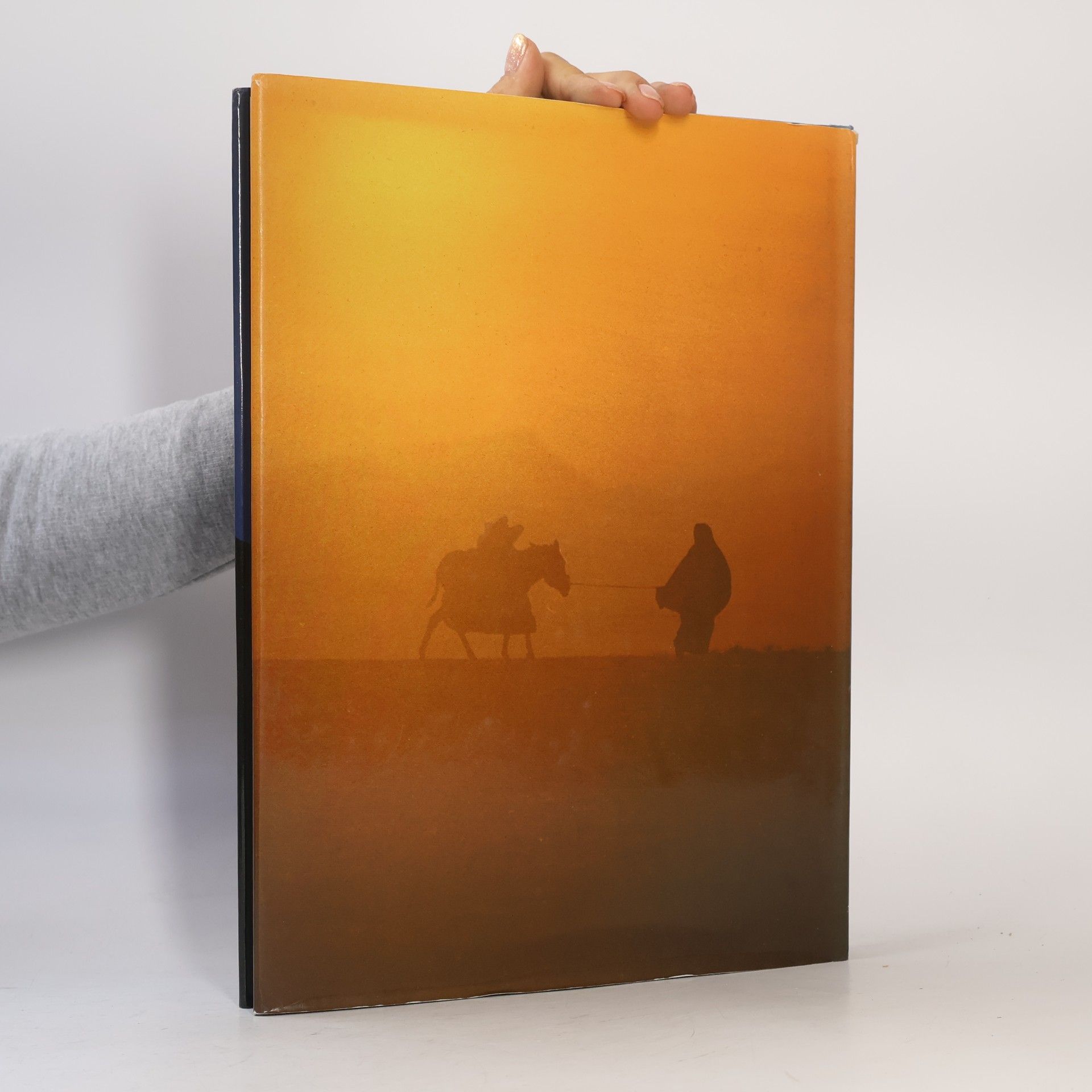 Kazuyoshi Nomachi Sinai, Land der Verheissung