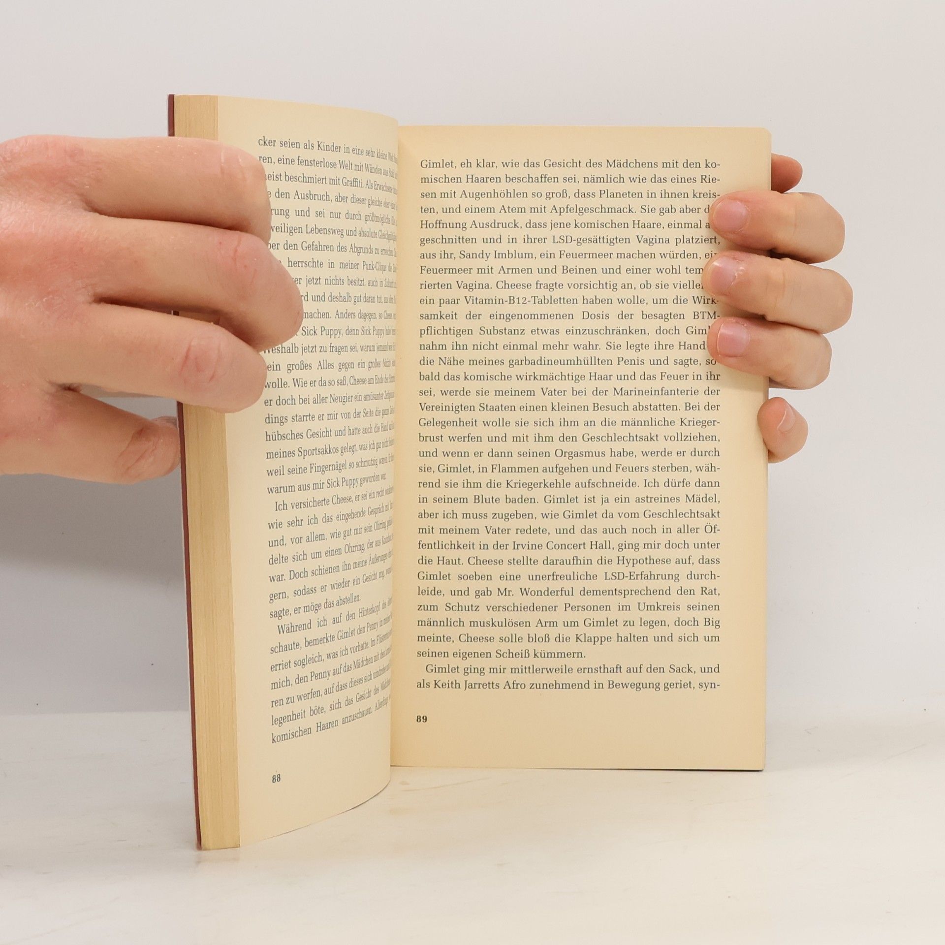 David Foster Wallace Kleines Mädchen mit komischen Haaren