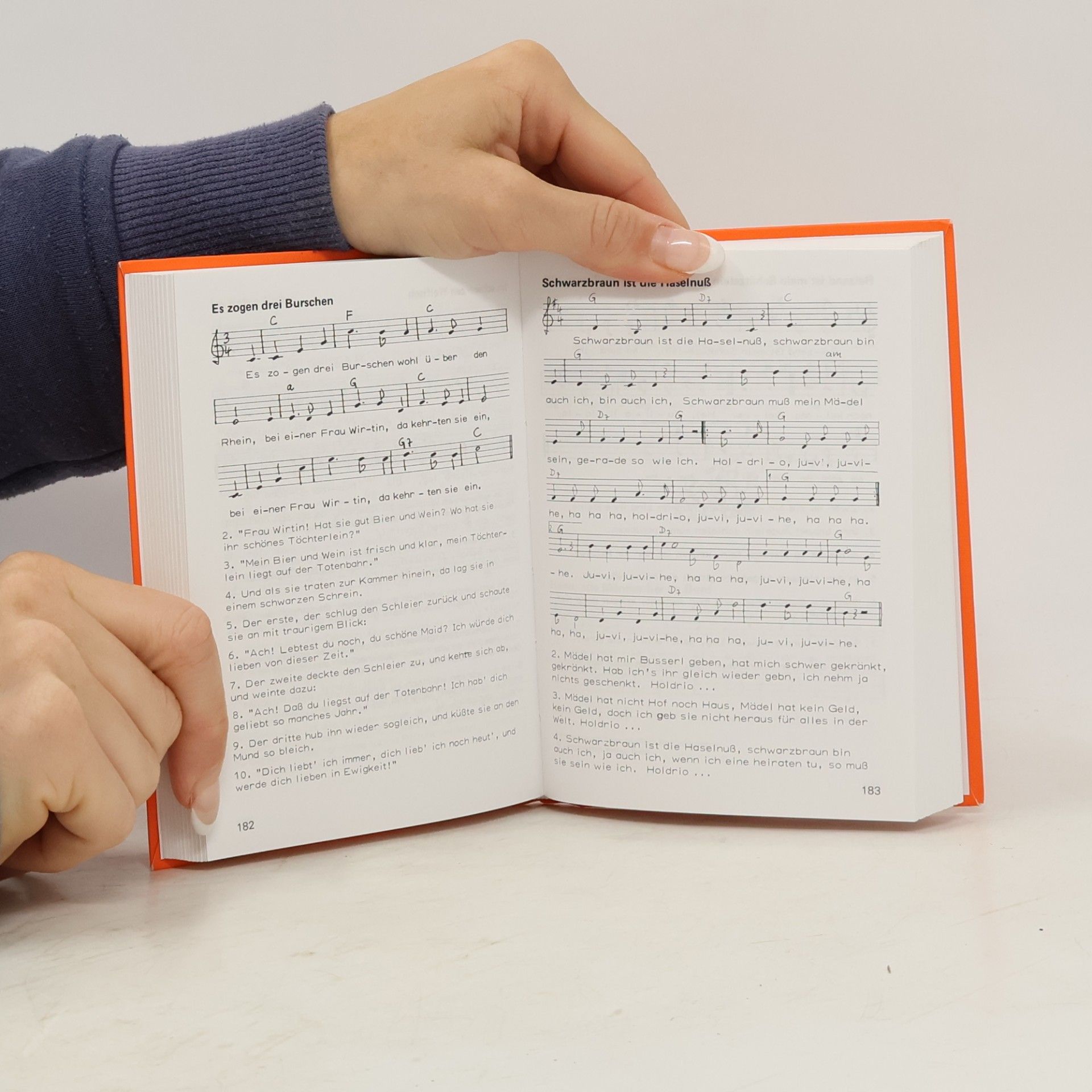 Reinhold Brumberger Der Bettelmusikant. Liederbuch von Franziskanermönchen verfasst