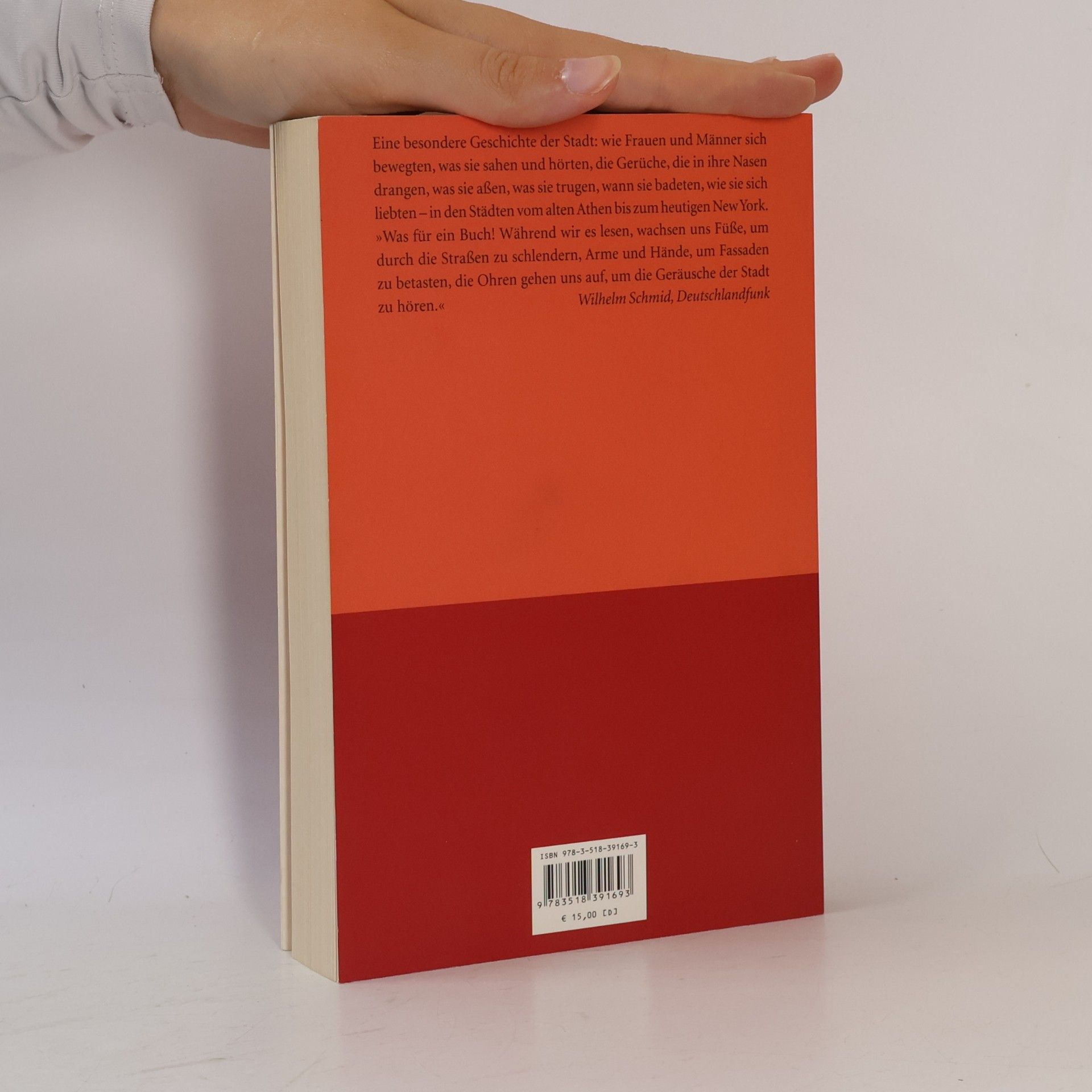 Richard Sennett Fleisch und Stein