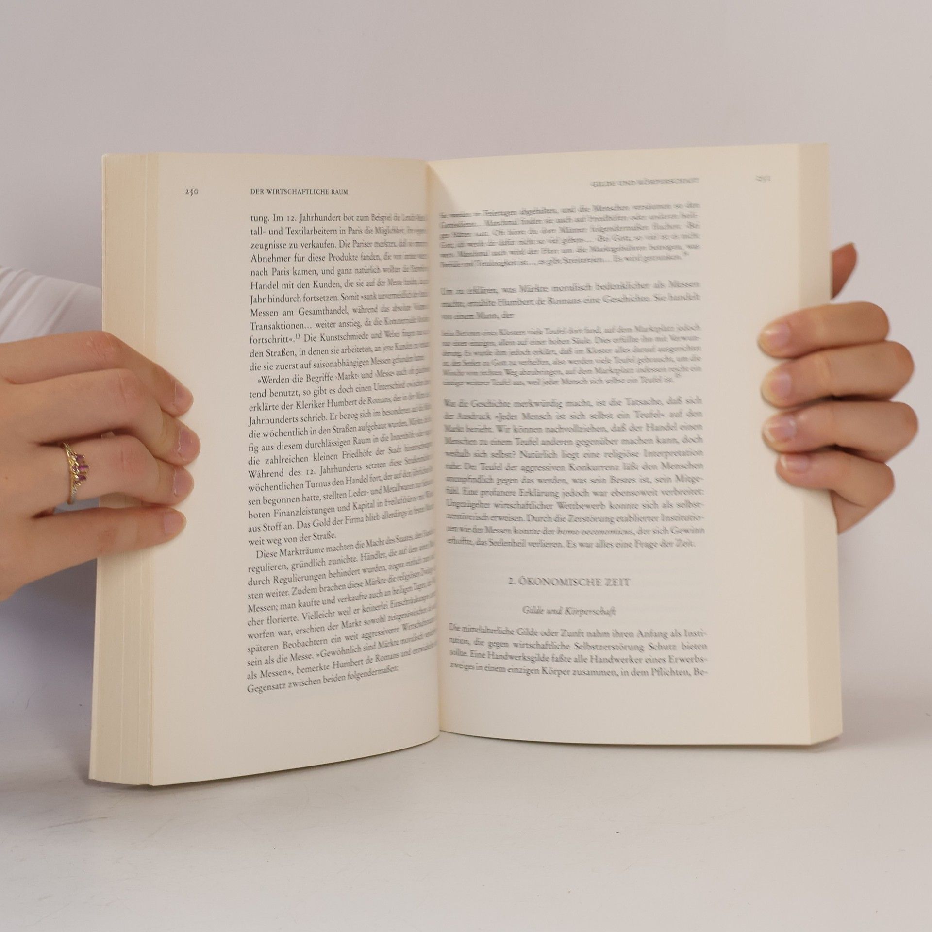 Richard Sennett Fleisch und Stein