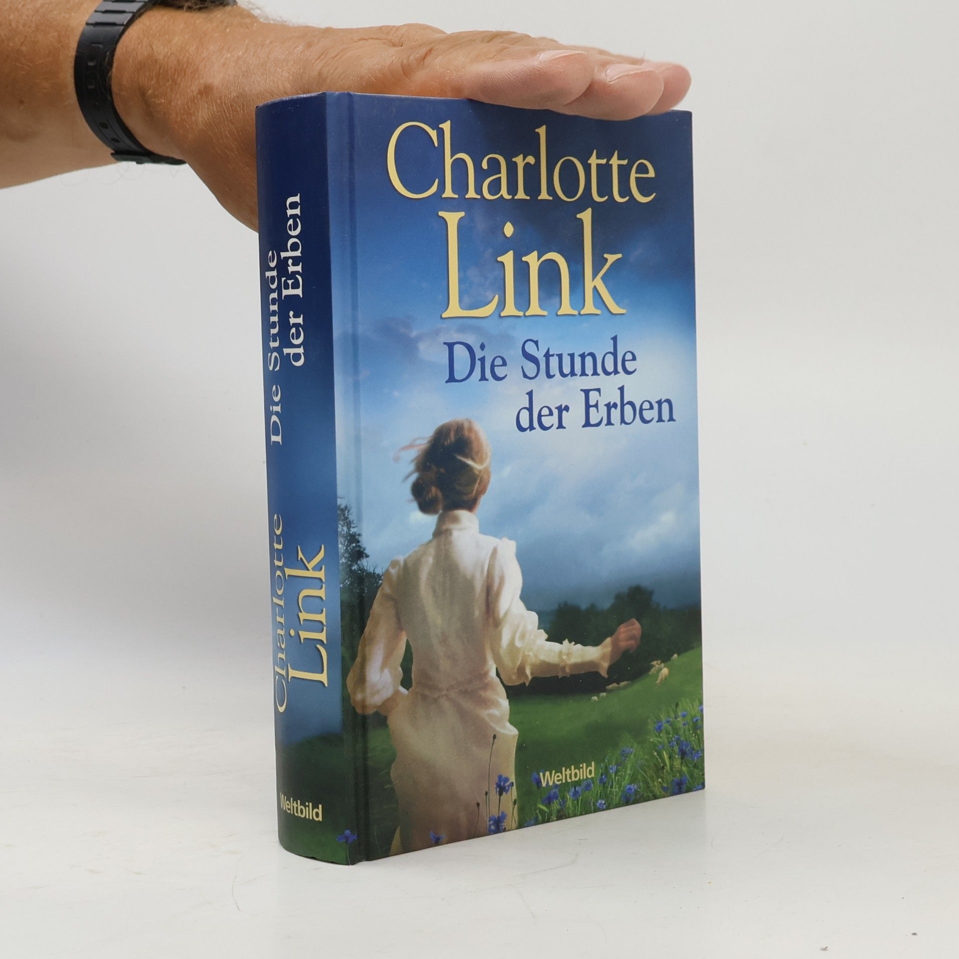 Charlotte Link Die Stunde der Erben