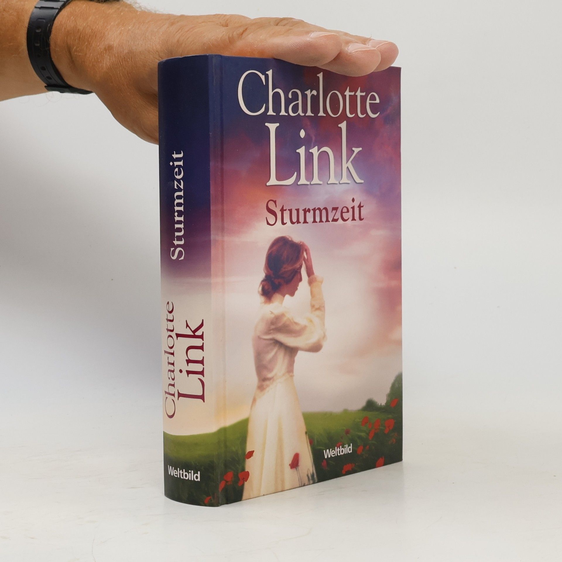 Charlotte Link Sturmzeit