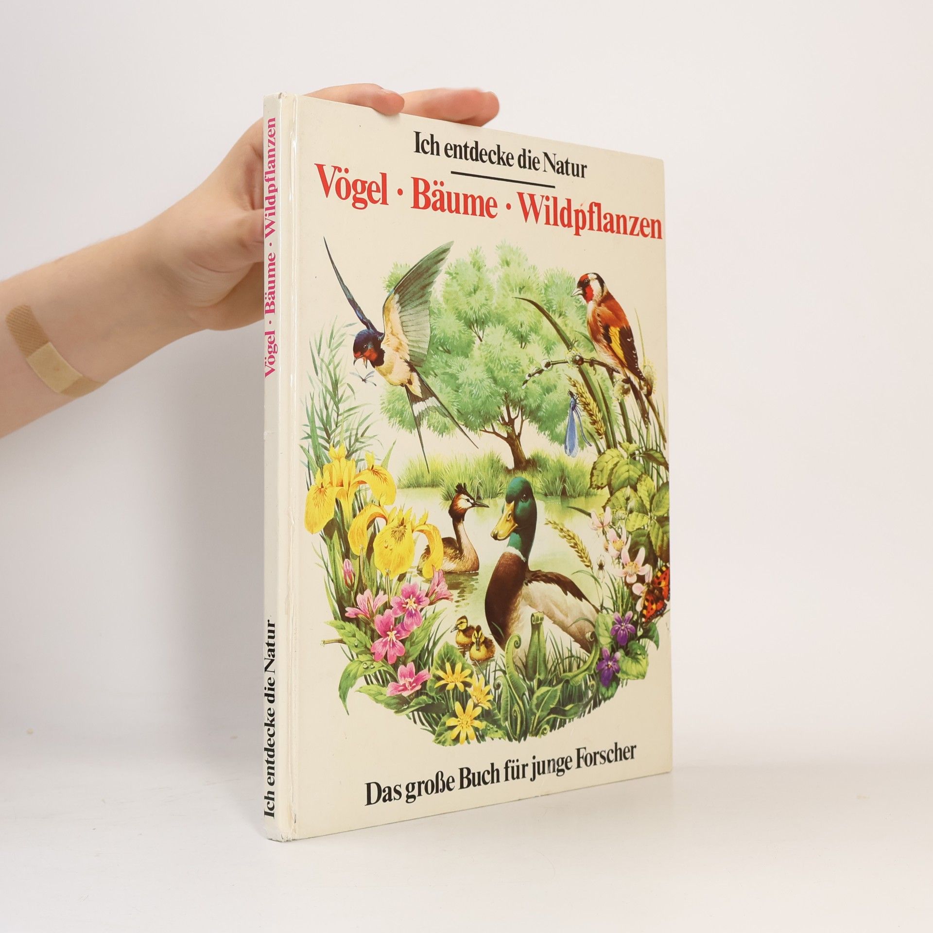 kolektiv Ich entdecke die Natur. Vögel, Bäume, Wildpflanzen
