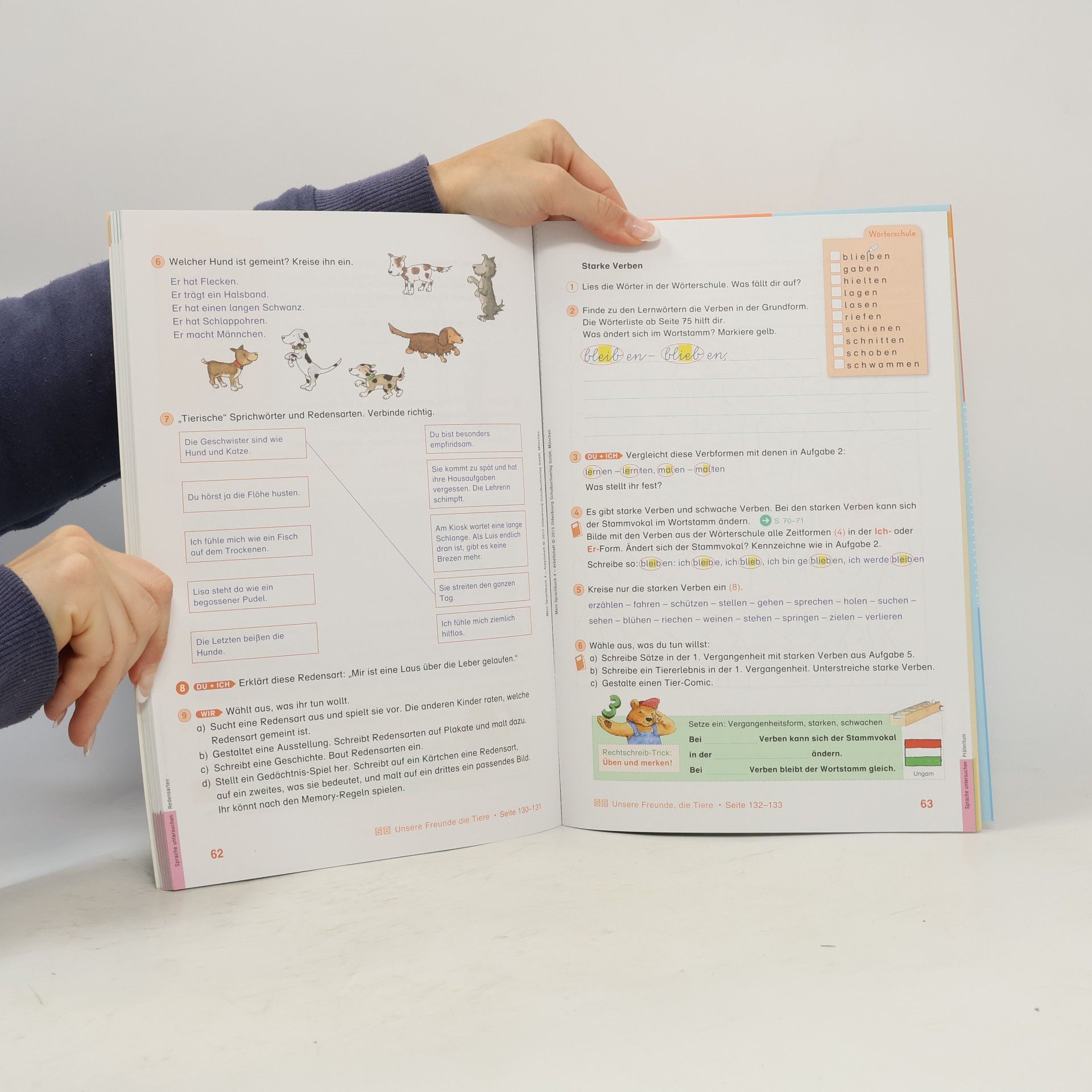 Sandra Duscher Mein Sprachbuch