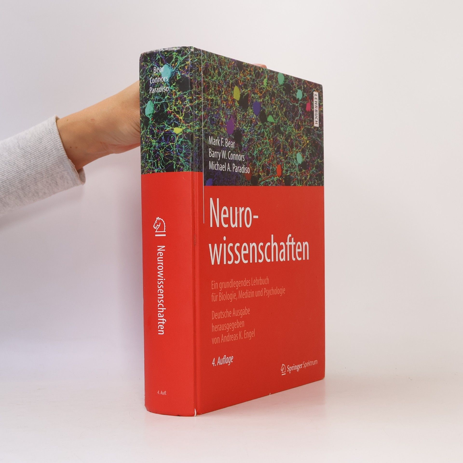 Mark F. Bear Neurowissenschaften