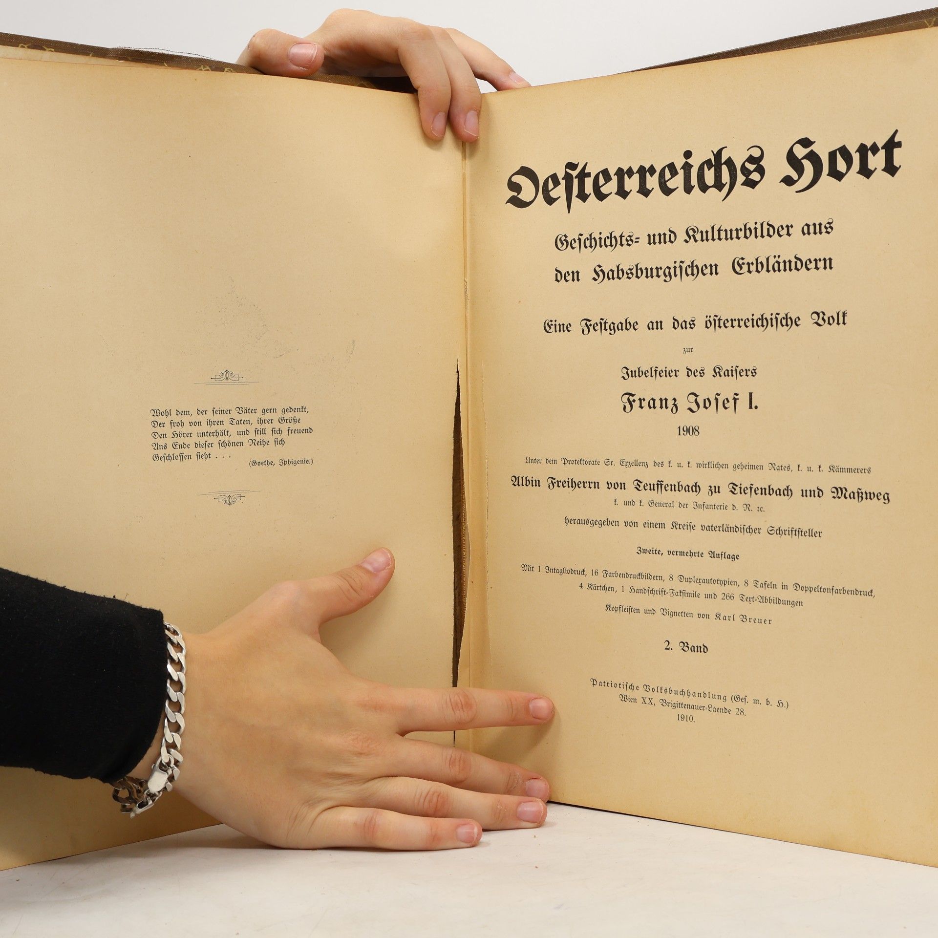 Karl Breuer Oesterreichs Hort 2