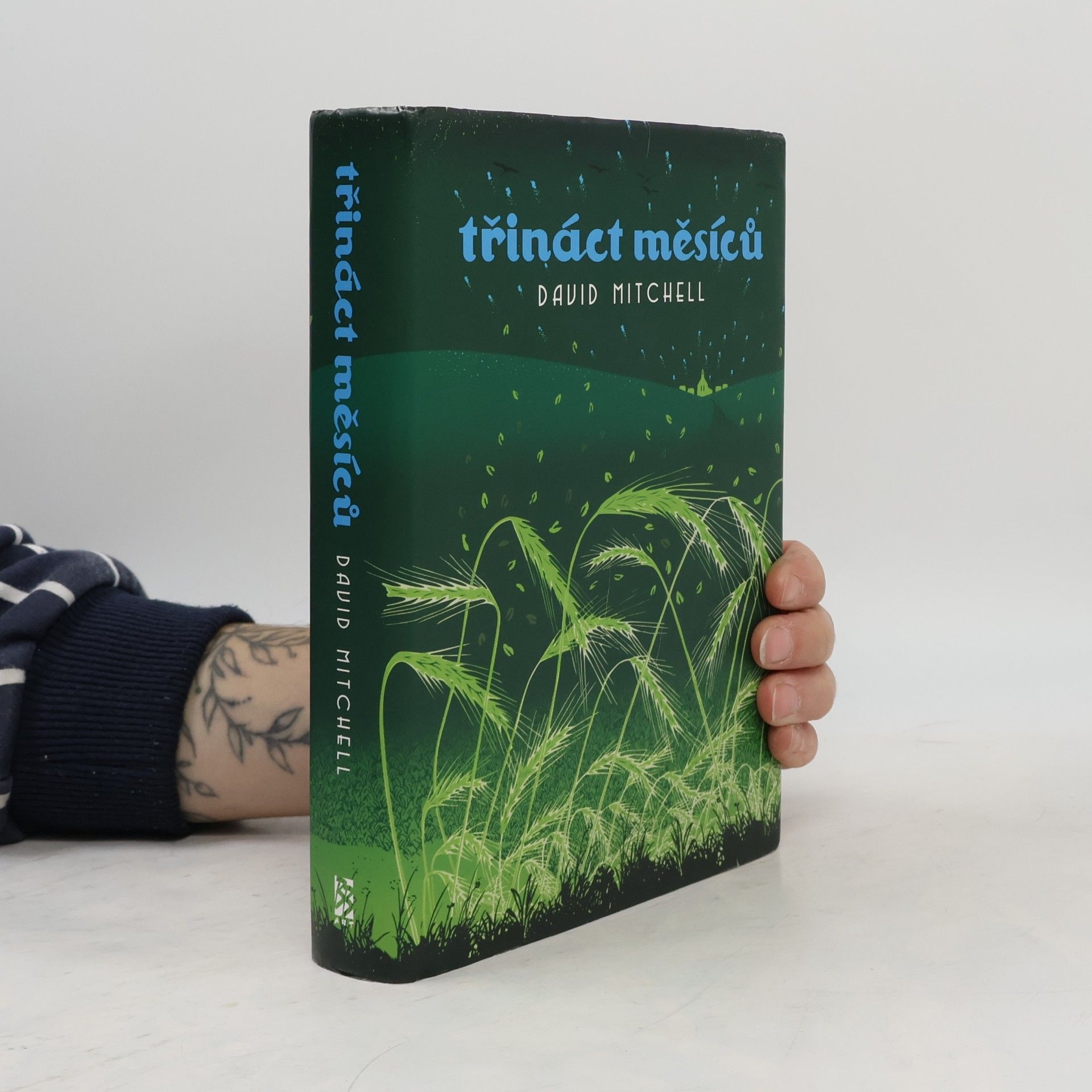 David Mitchell Třináct měsíců