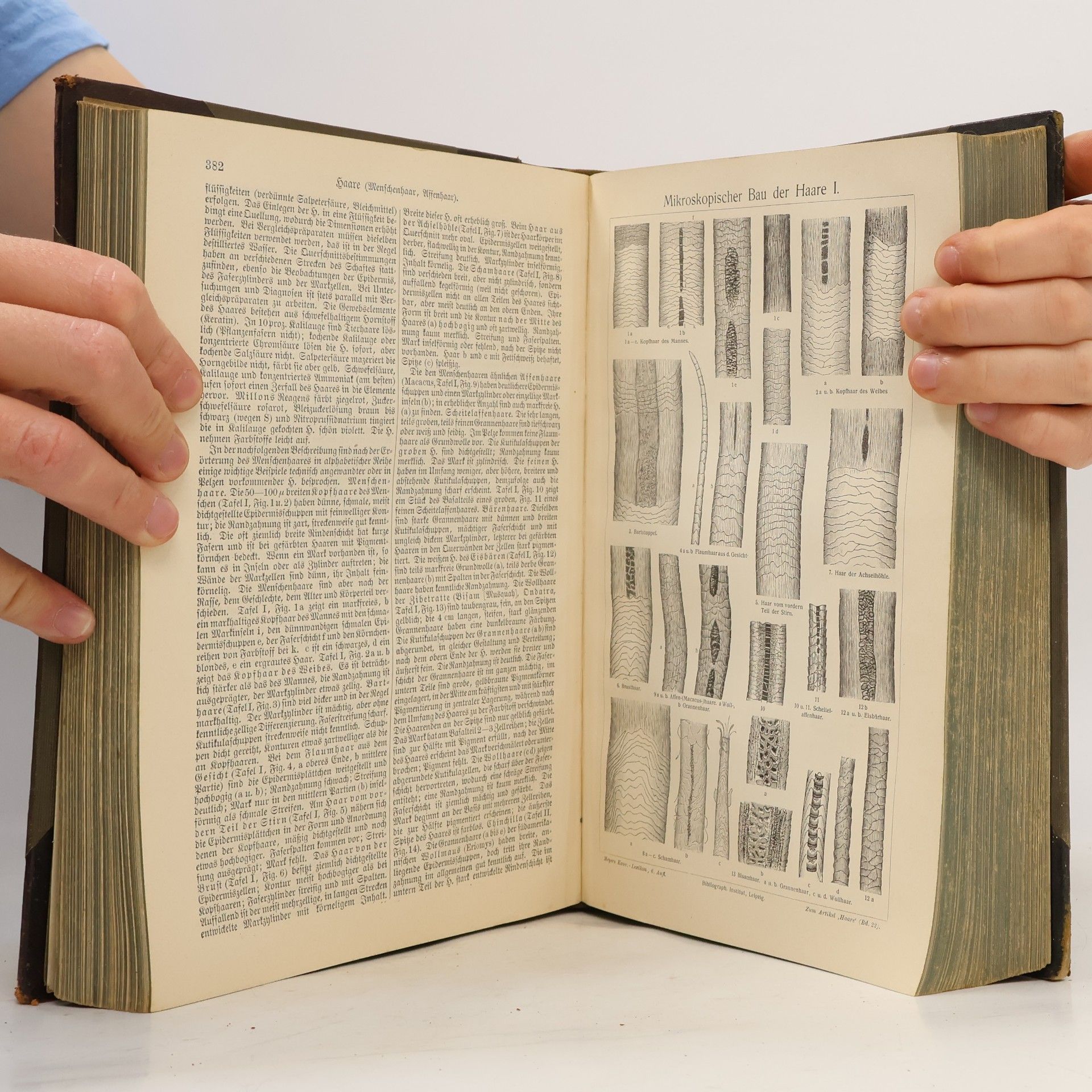 Kolektív autorov Meyers Großes Konversations-Lexikon 22 (Jahres-Supplement 1909-1910)