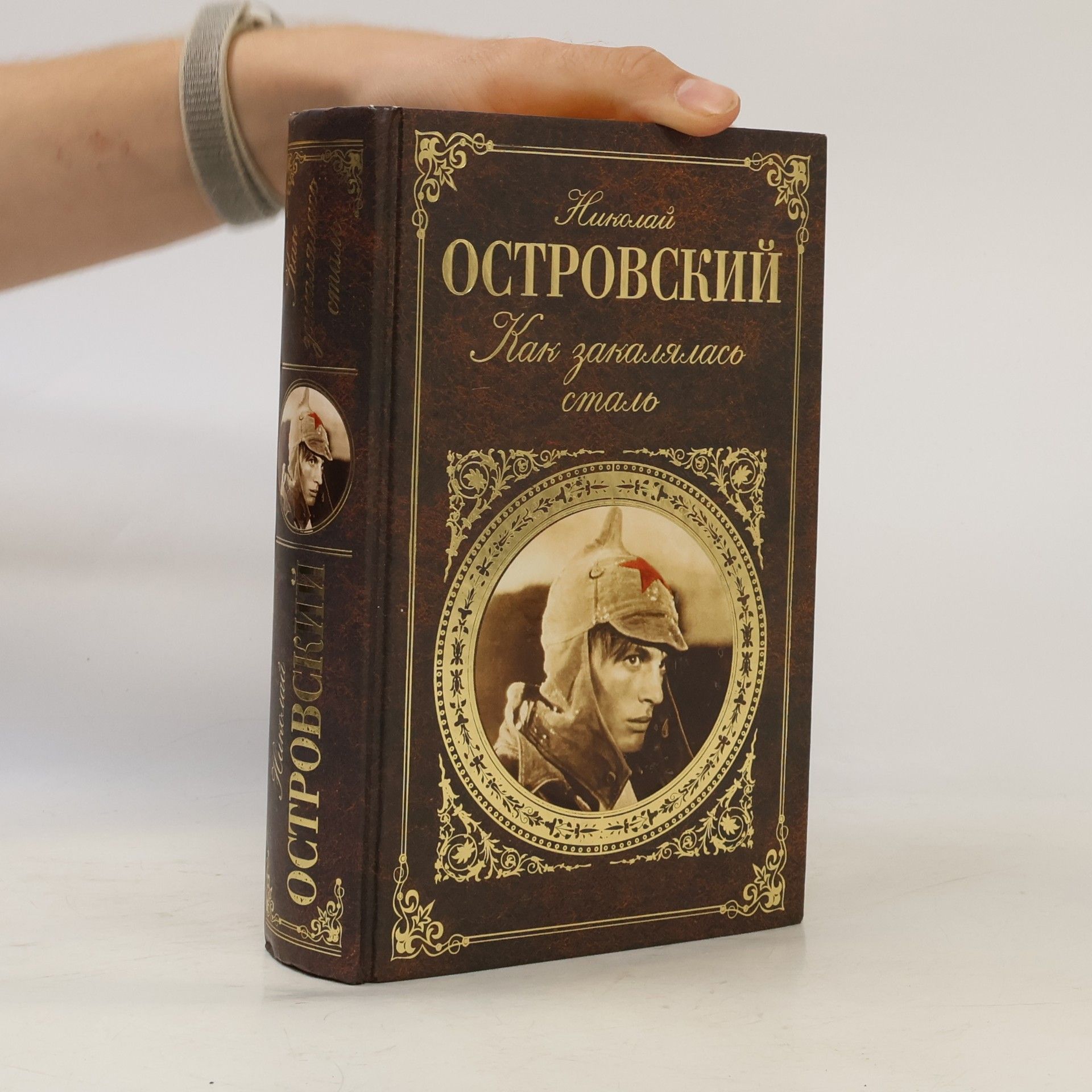 Николай Алексеевич Островский Как закалялась сталь