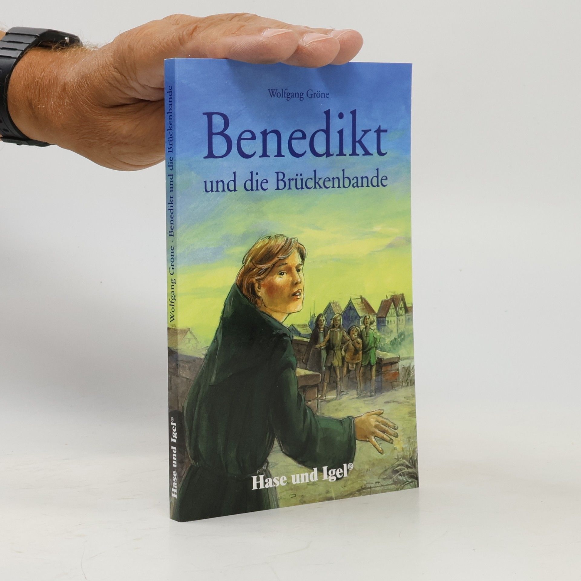 Wolfgang Gröne Benedikt und die Brückenbande, Schulausgabe
