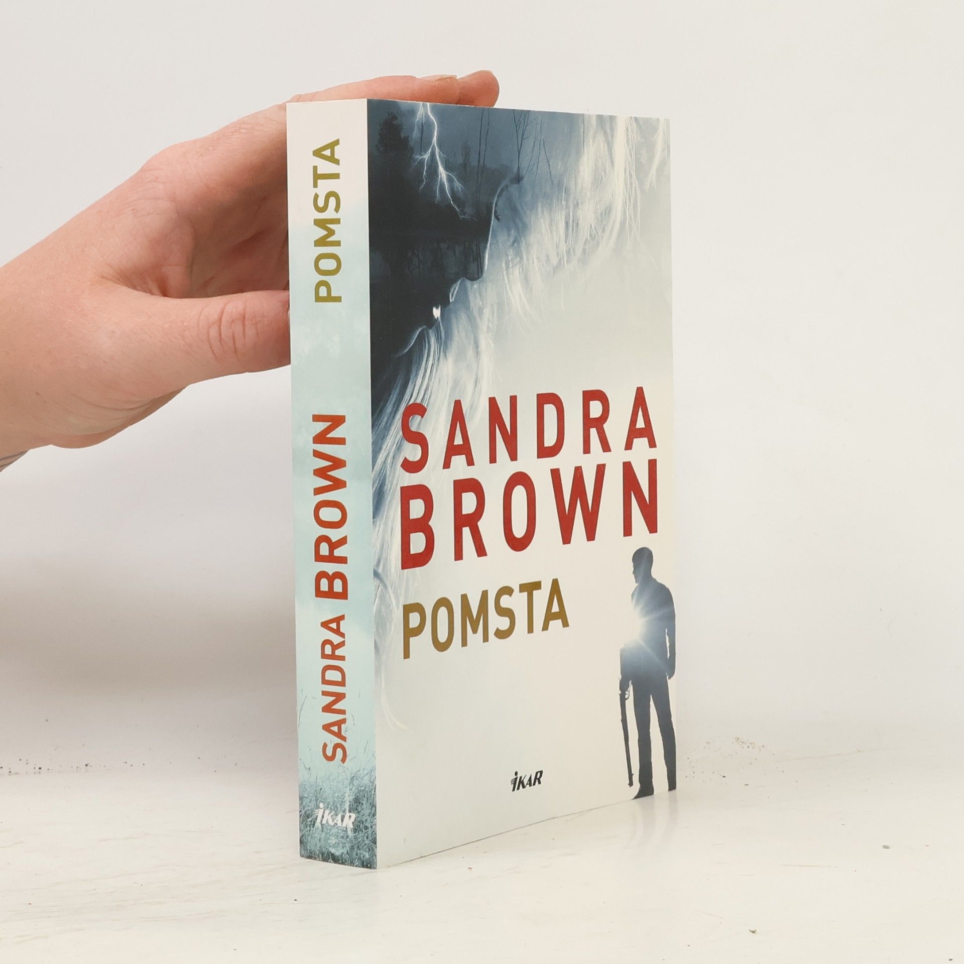 Sandra Brown Pomsta