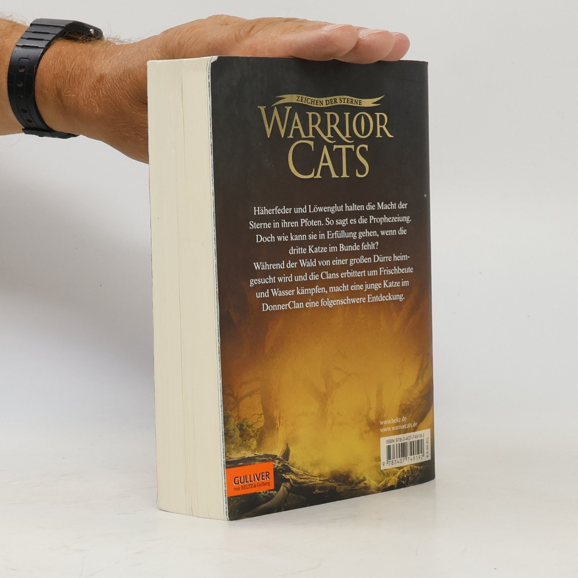 Erin Hunter Warrior Cats. Der vierte Schüler