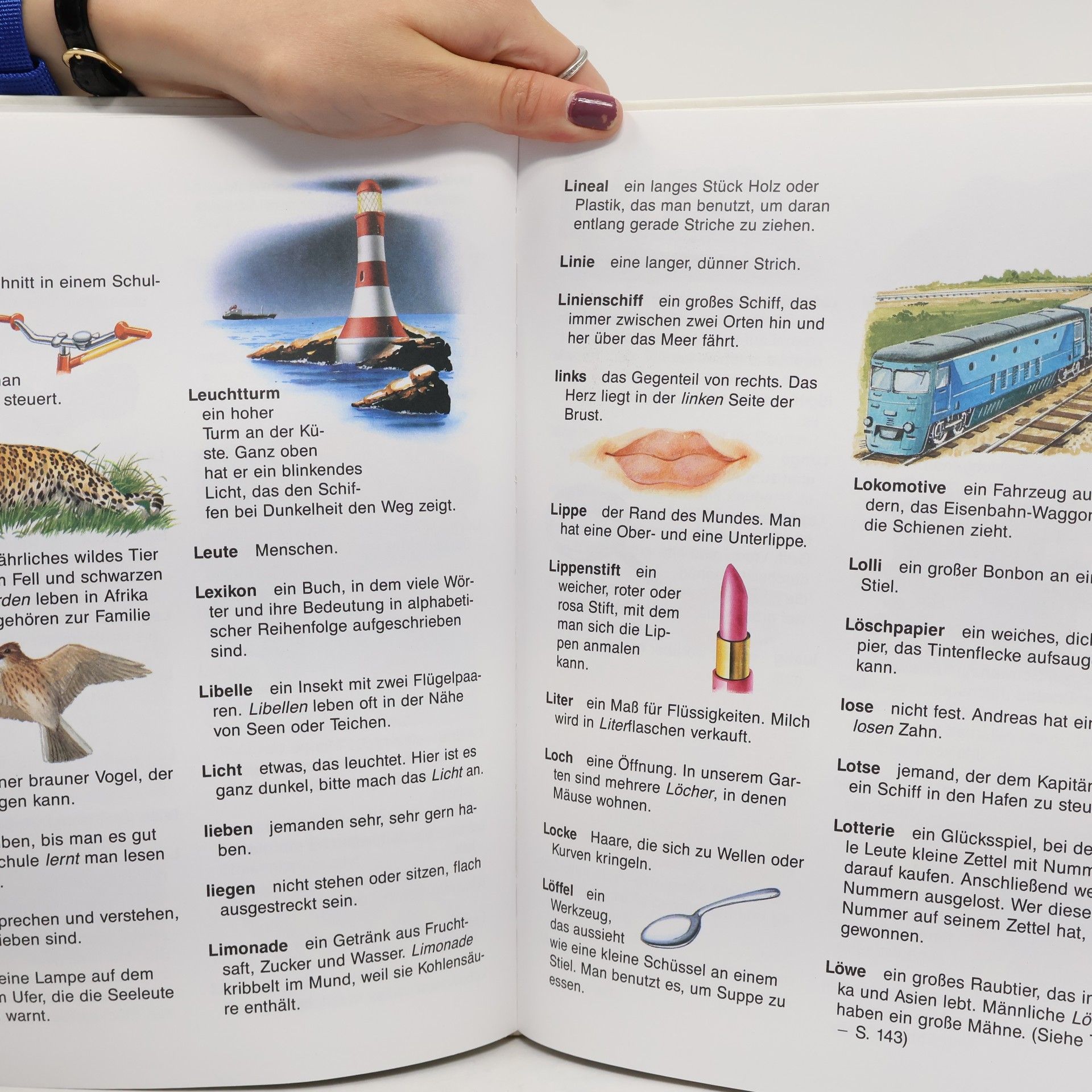 Autores varios Mein erstes Lexikon in Farbe