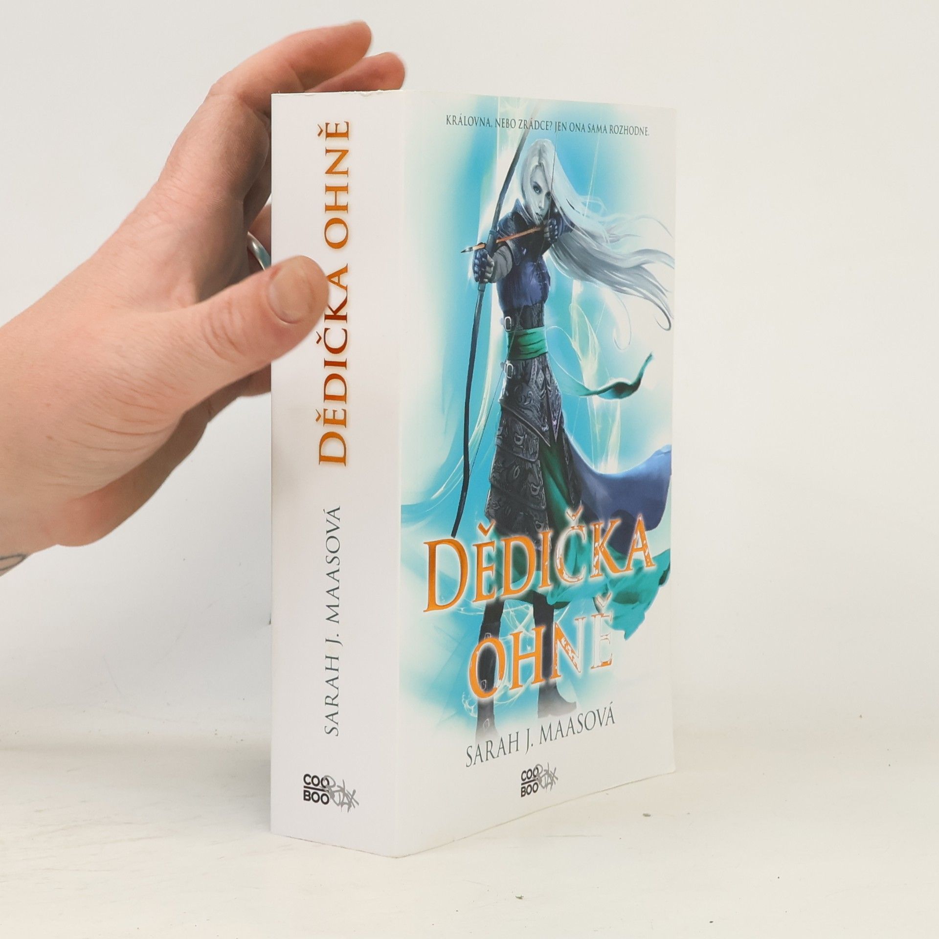 Sarah J. Maas Dědička ohně